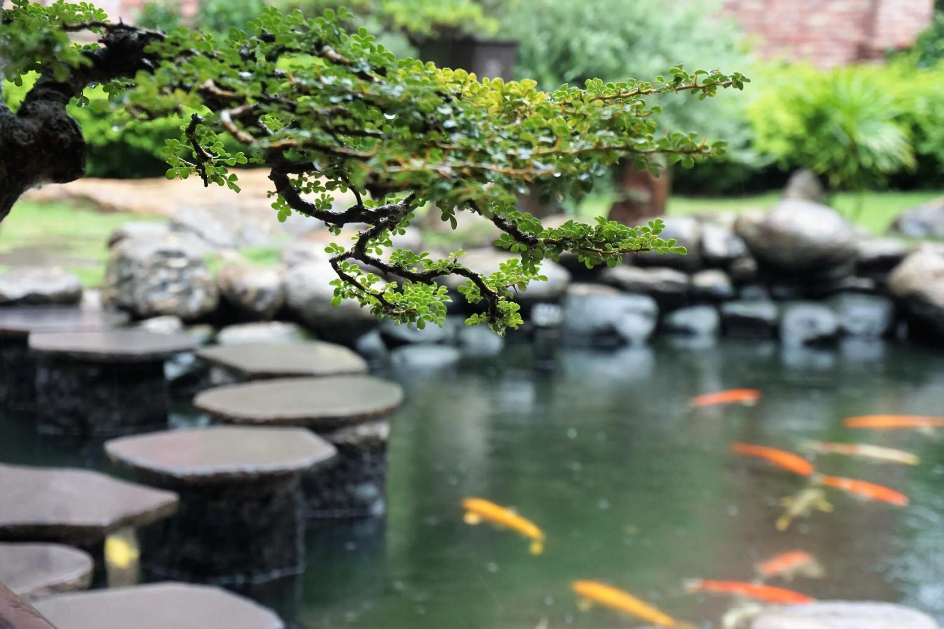 Other in Minh Hai Resort