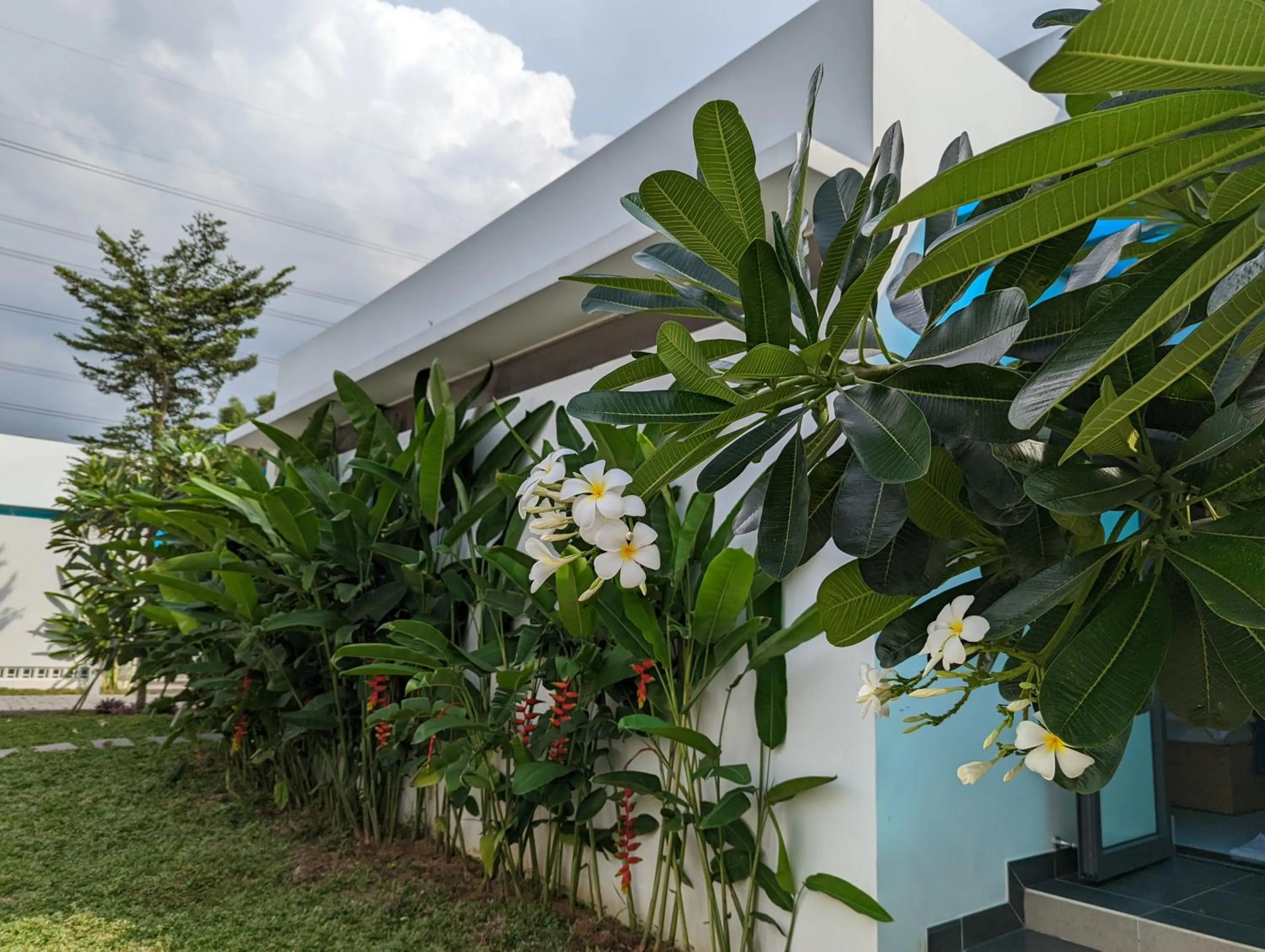 Property building in Minh Hai Resort