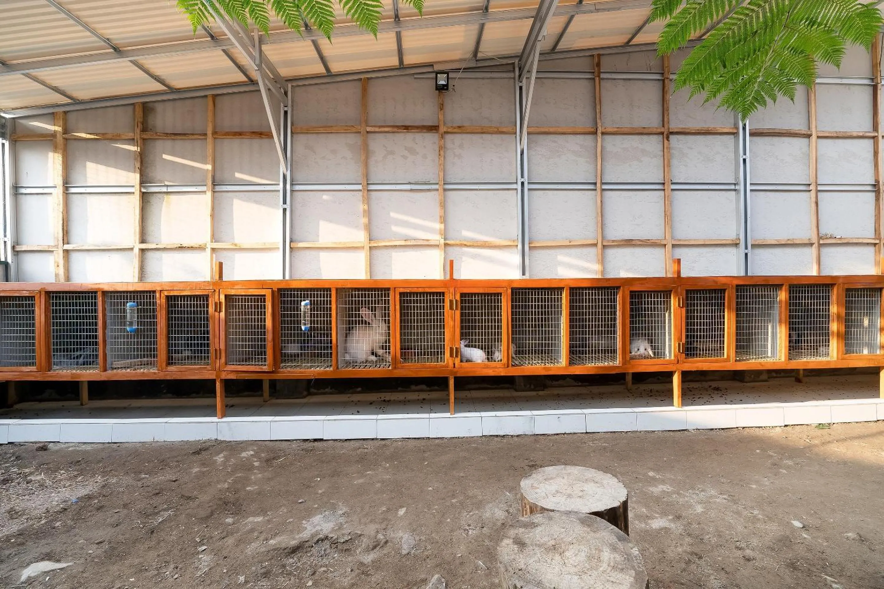 Lobby or reception in OYO Homes 91156 Eco Tourism Big Farmer Desa Kertawangi Syariah