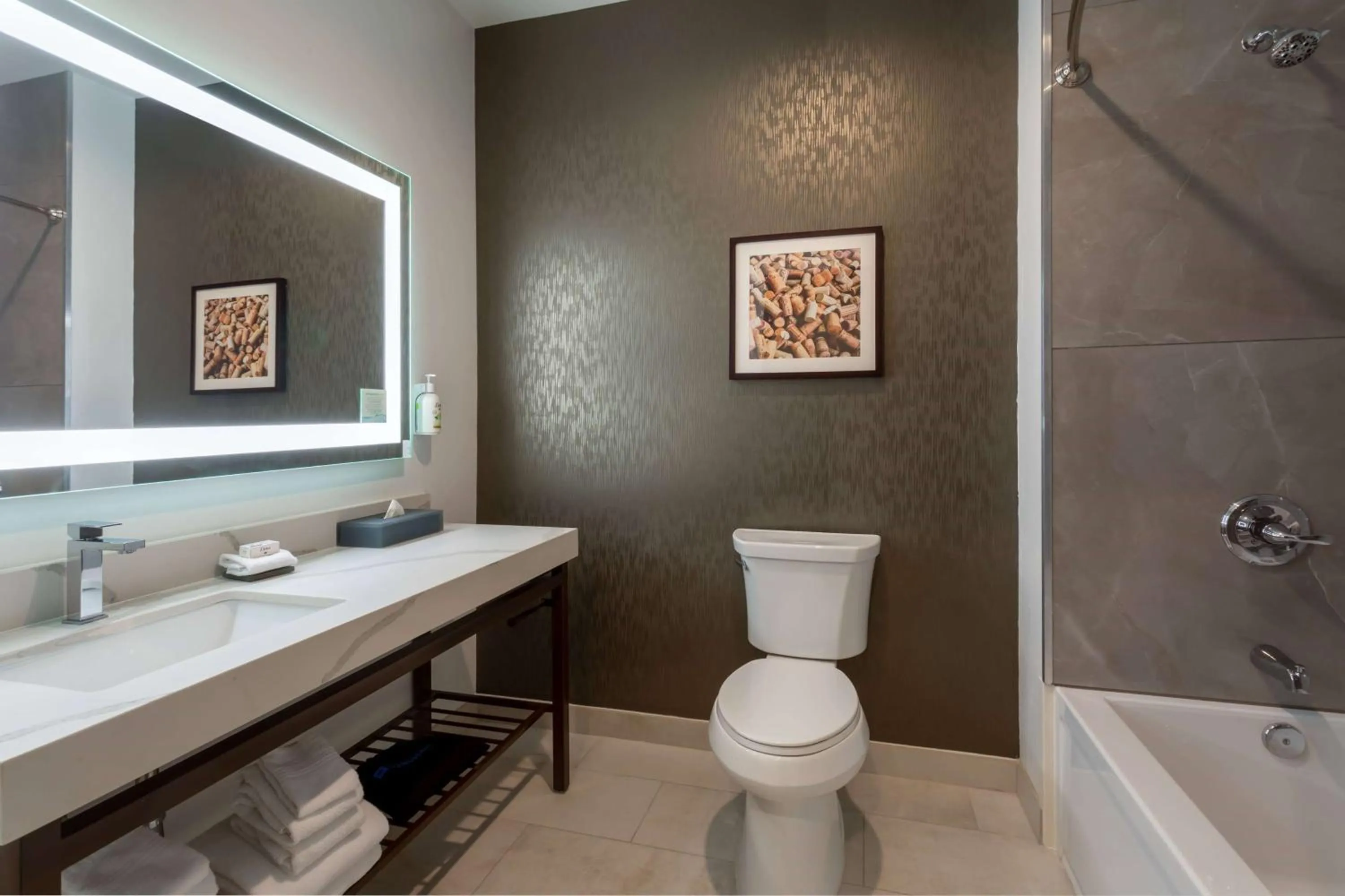 TV and multimedia in La Quinta Inn & Suites by Wyndham Galt Lodi North