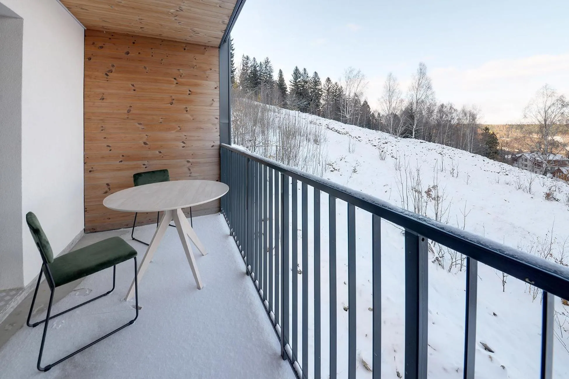Day in RentPlanet - Apartamenty IzerSKI Resort