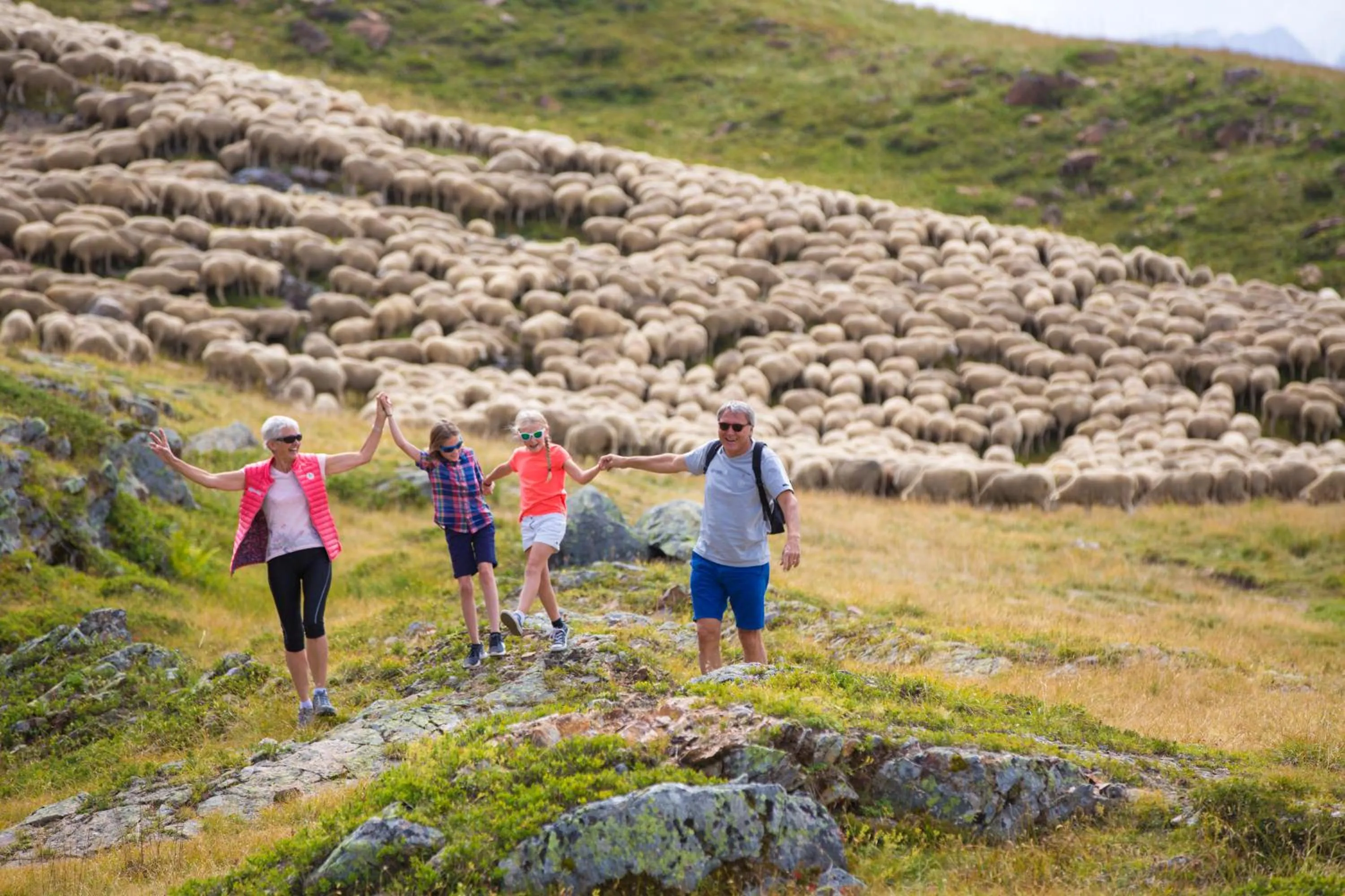 Neighbourhood in Hotel le Chamois
