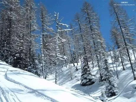 Natural landscape in Hotel Sila