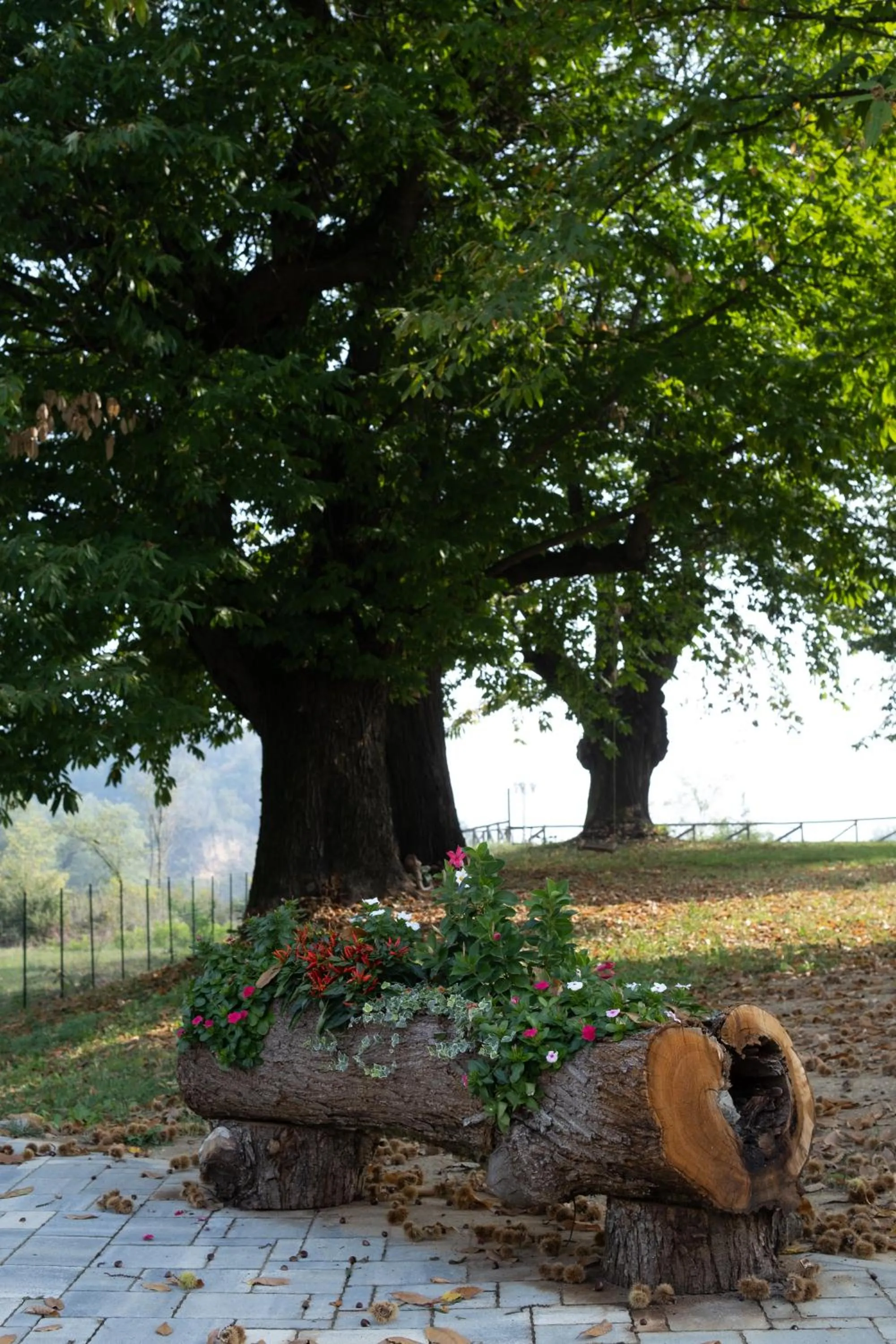 Garden in Il Riccio e la Castagna - Country House