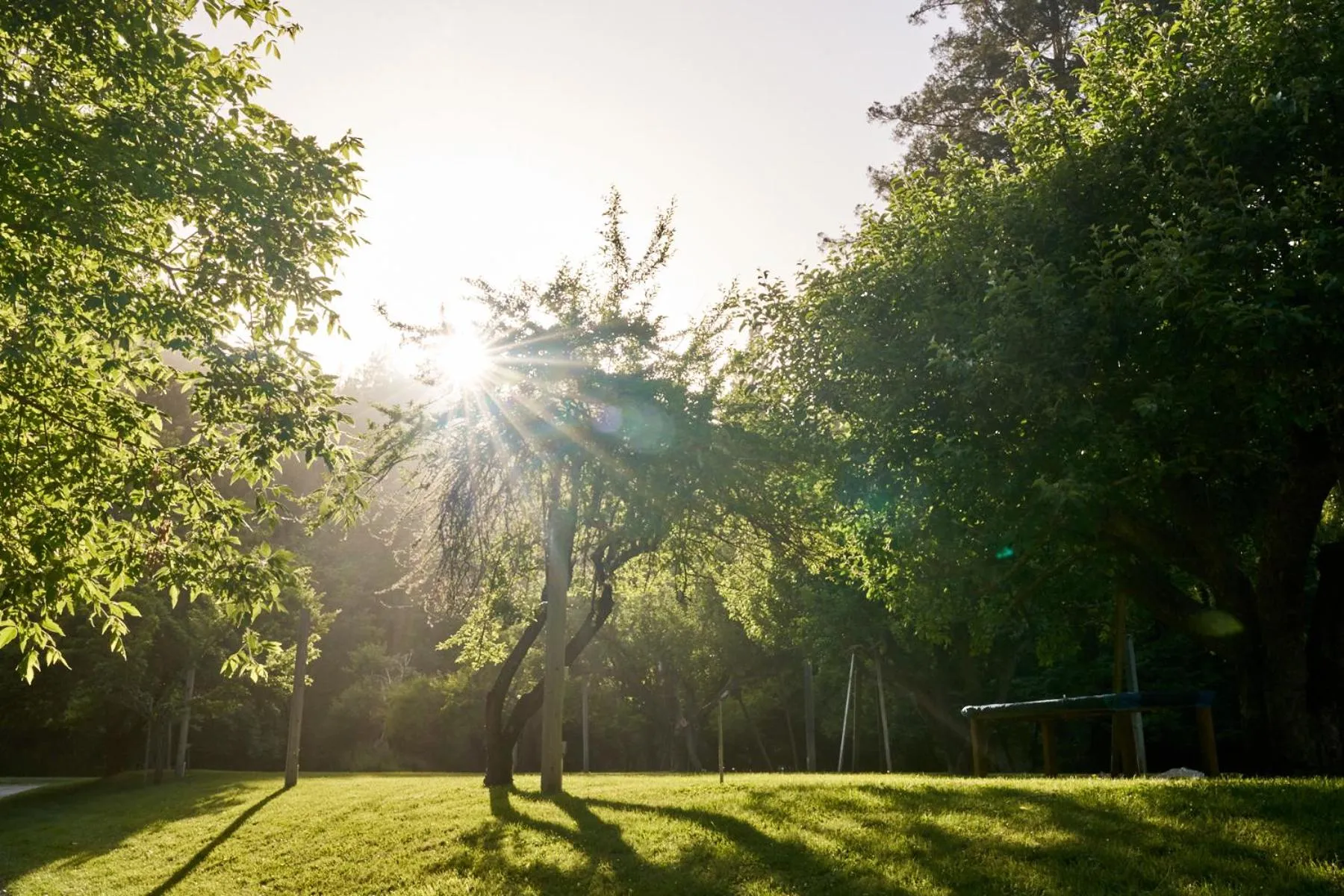 Property building in Dawn Ranch