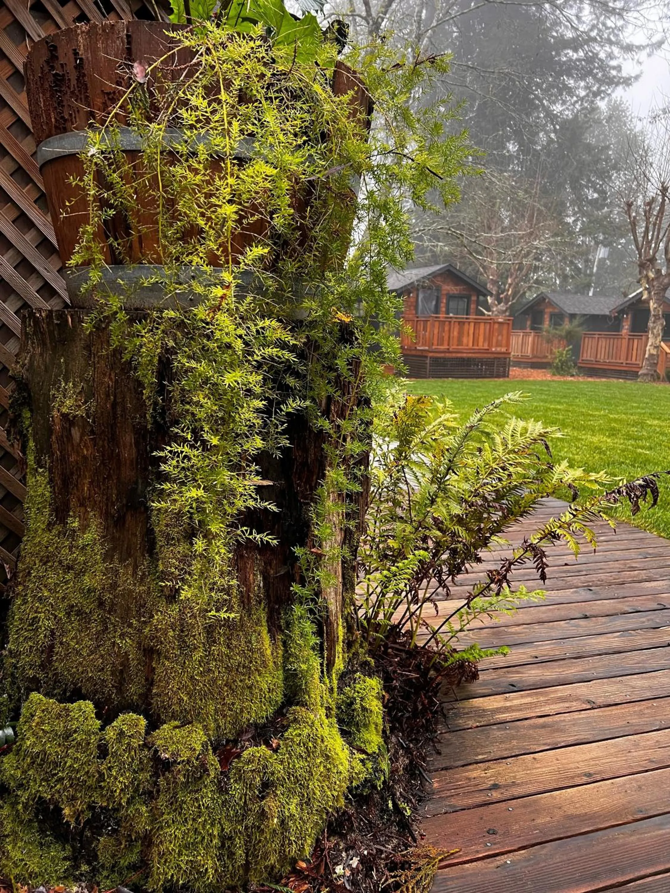 Activities in Dawn Ranch