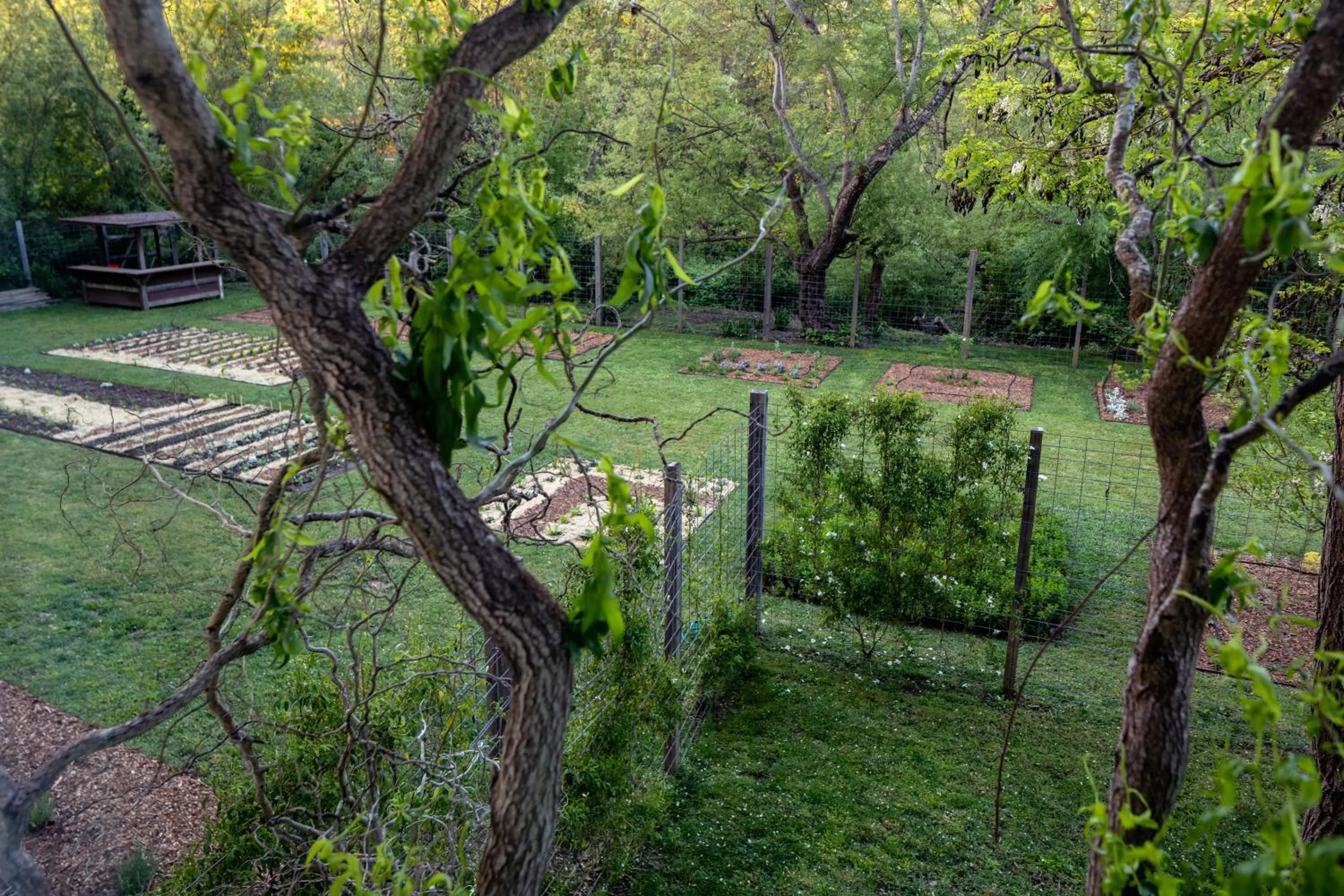 Garden in Dawn Ranch