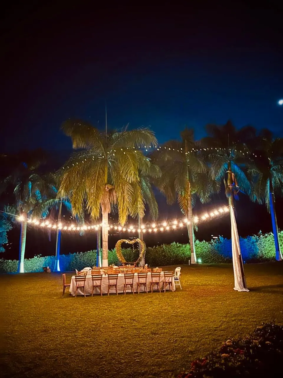 Garden view in Hotel Villa Alicia