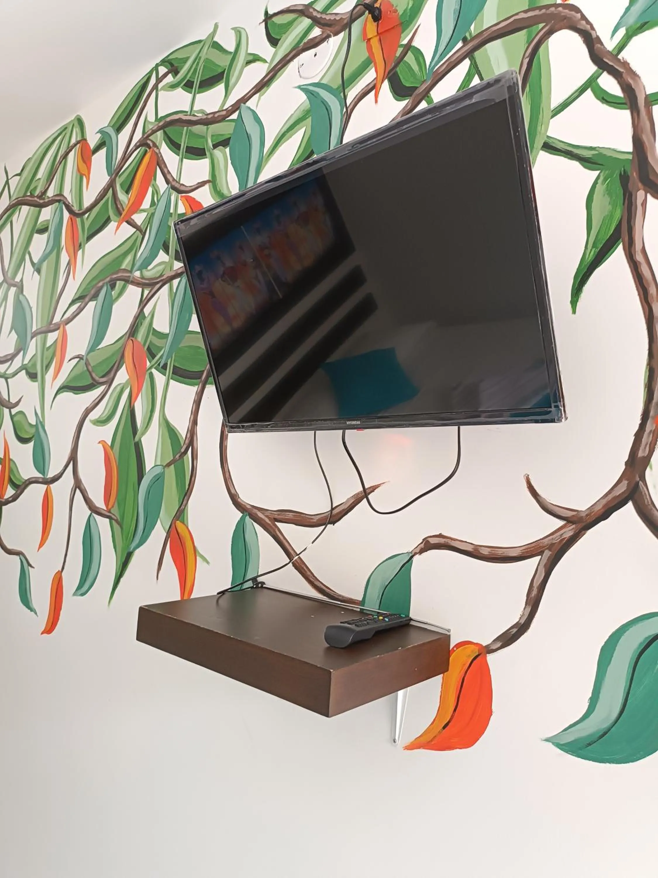 TV and multimedia in Hotel Villa Alicia