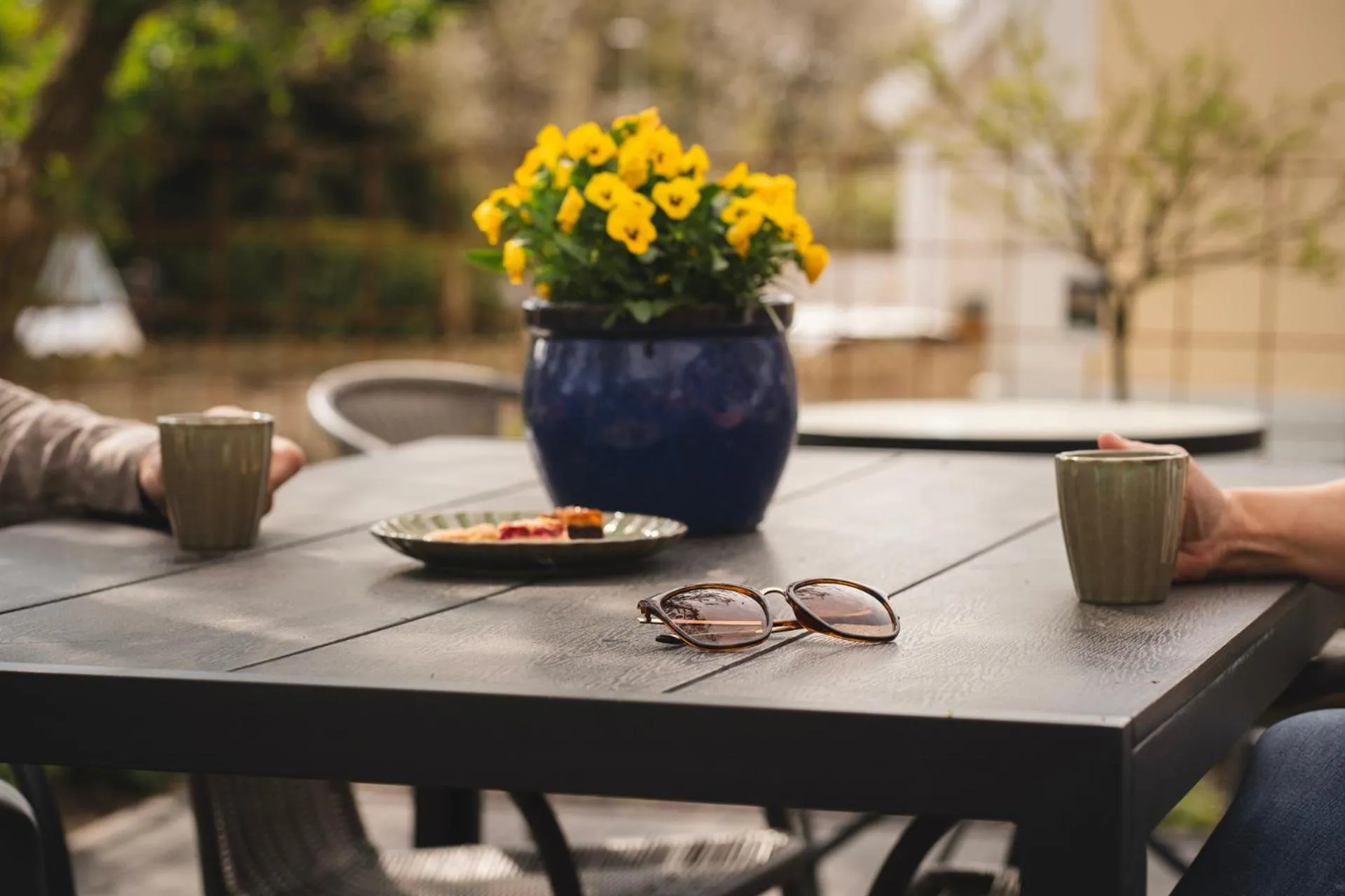 Garden in Två Systrar B&B