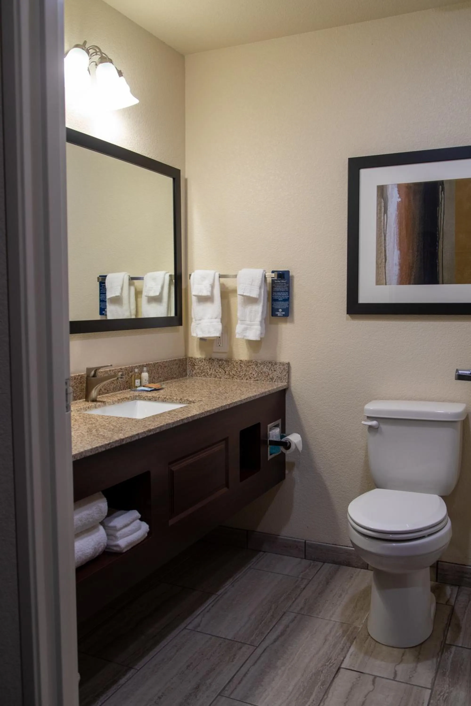 Toilet in Cobblestone Inn & Suites -Springfield
