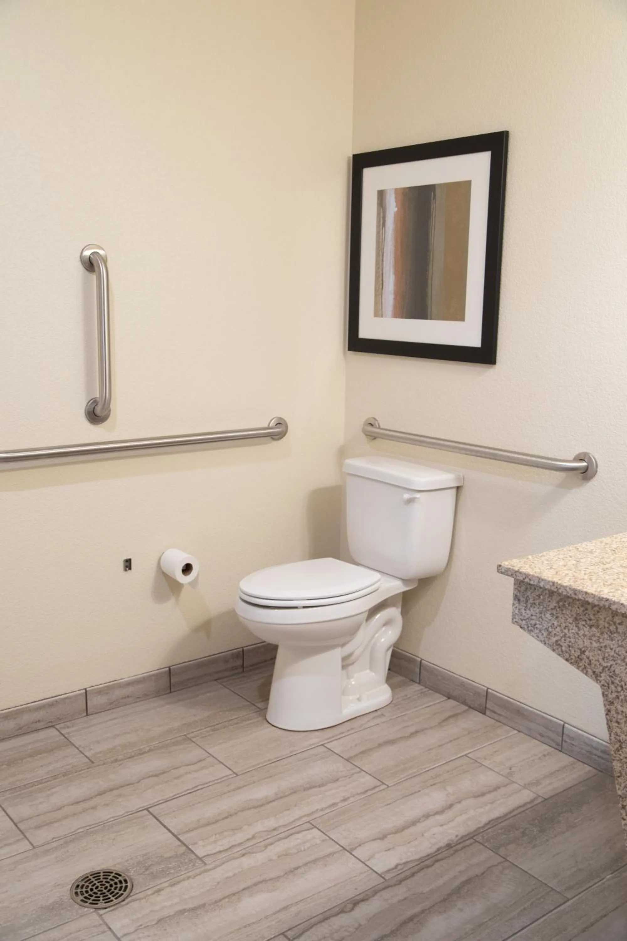 Toilet in Cobblestone Inn & Suites -Springfield