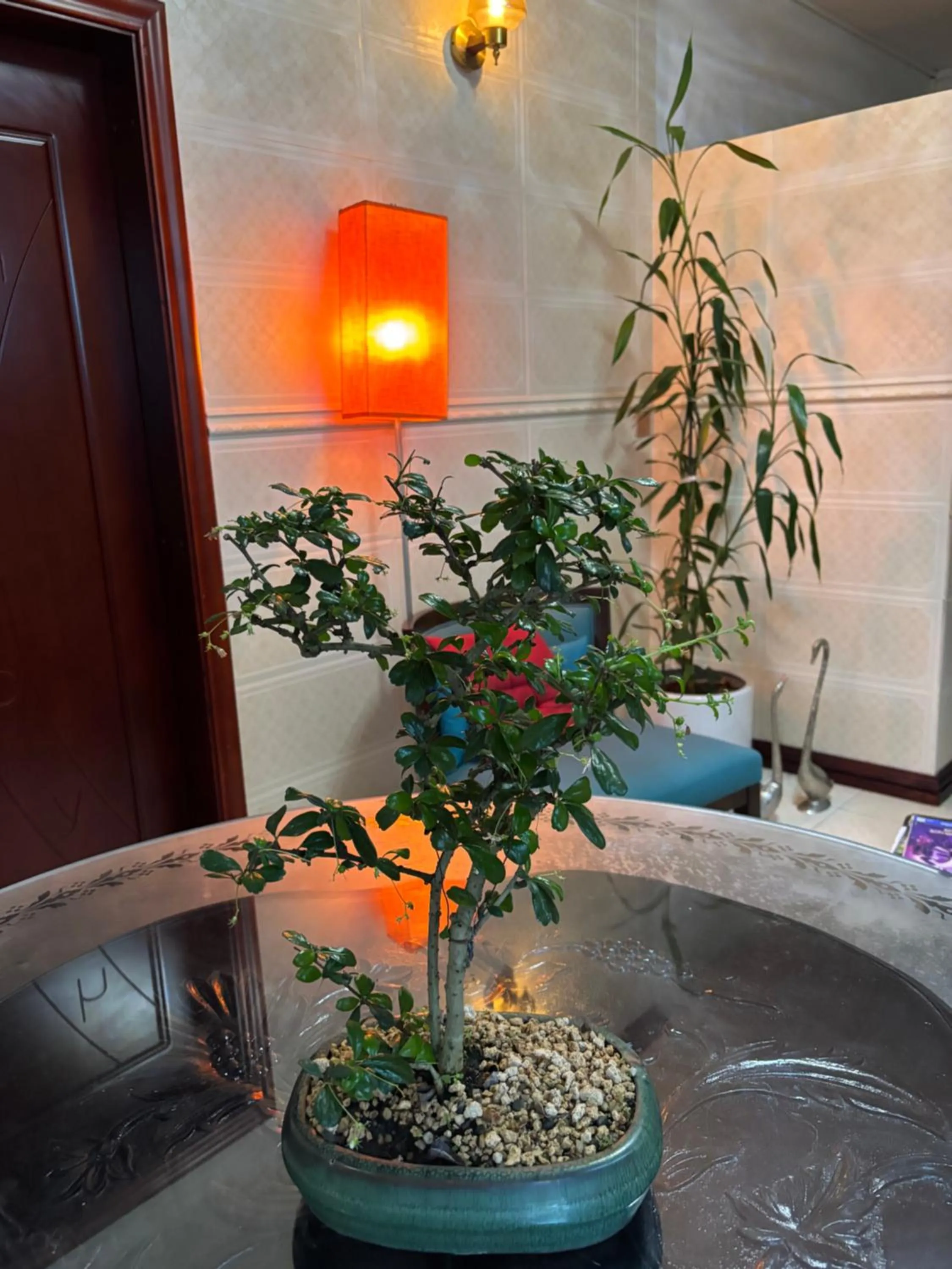 Happy Ours Guesthouse