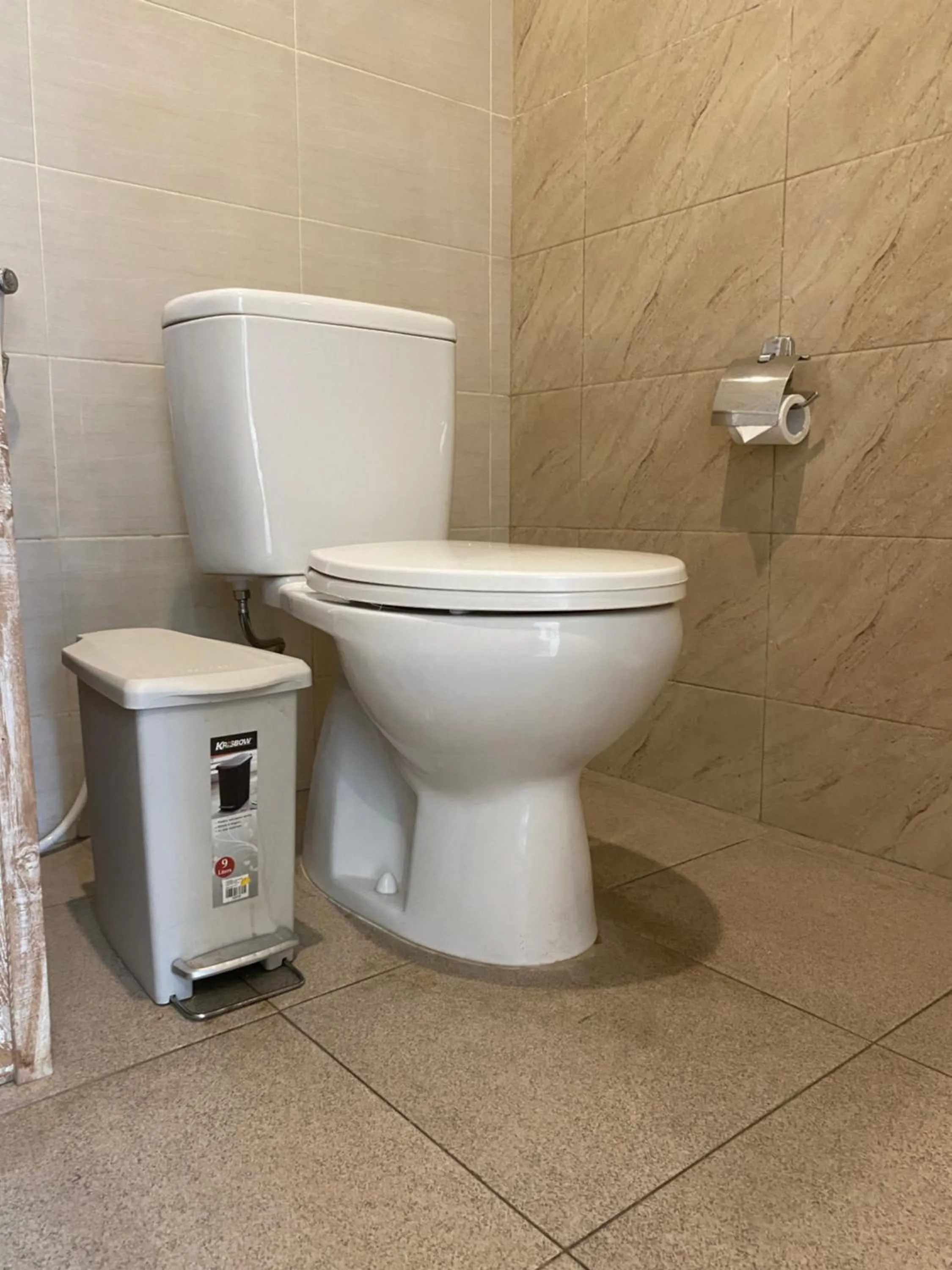 Toilet in Green D'mel Bali