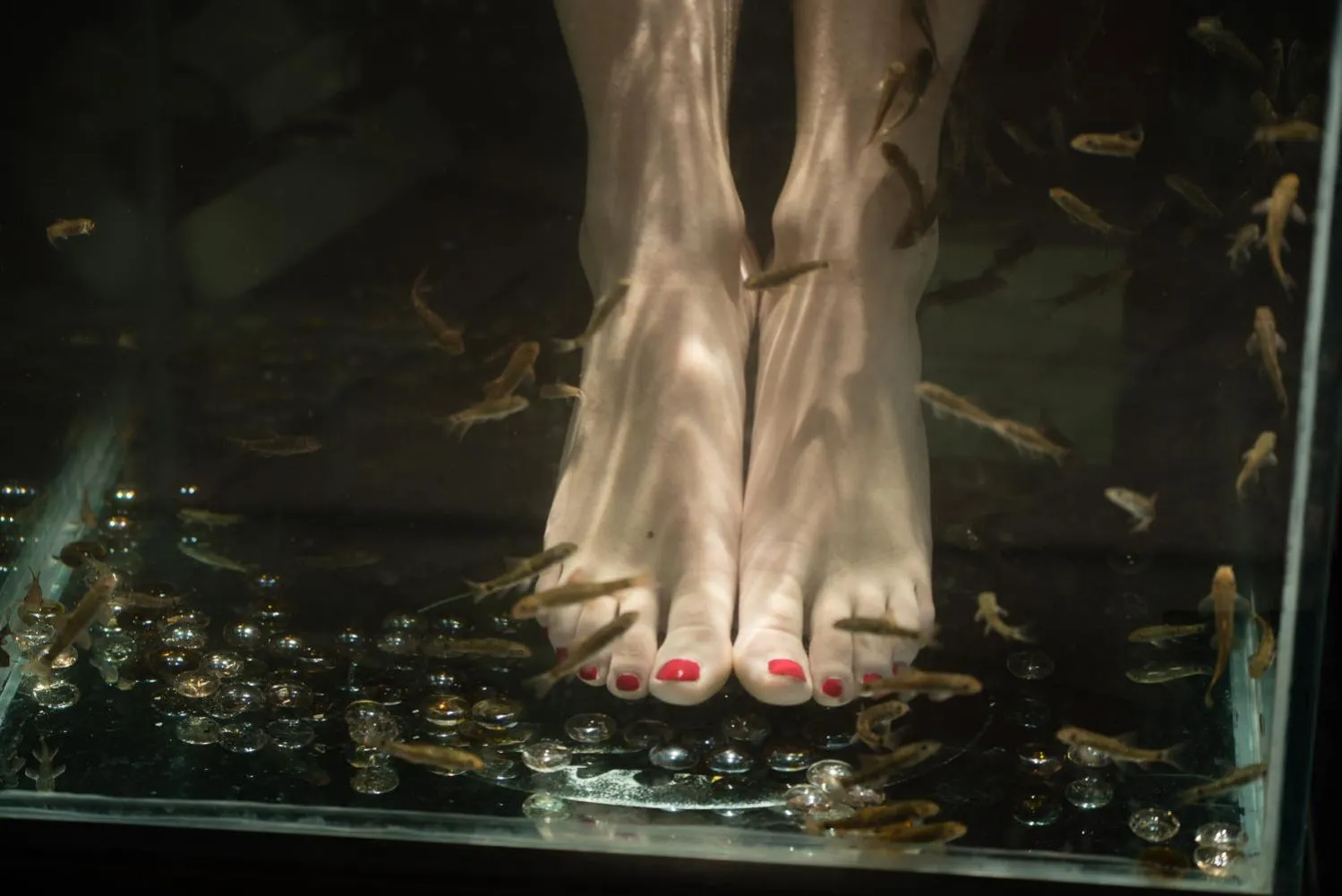 Fitness centre/facilities in Hotel Relais Valle Orientina