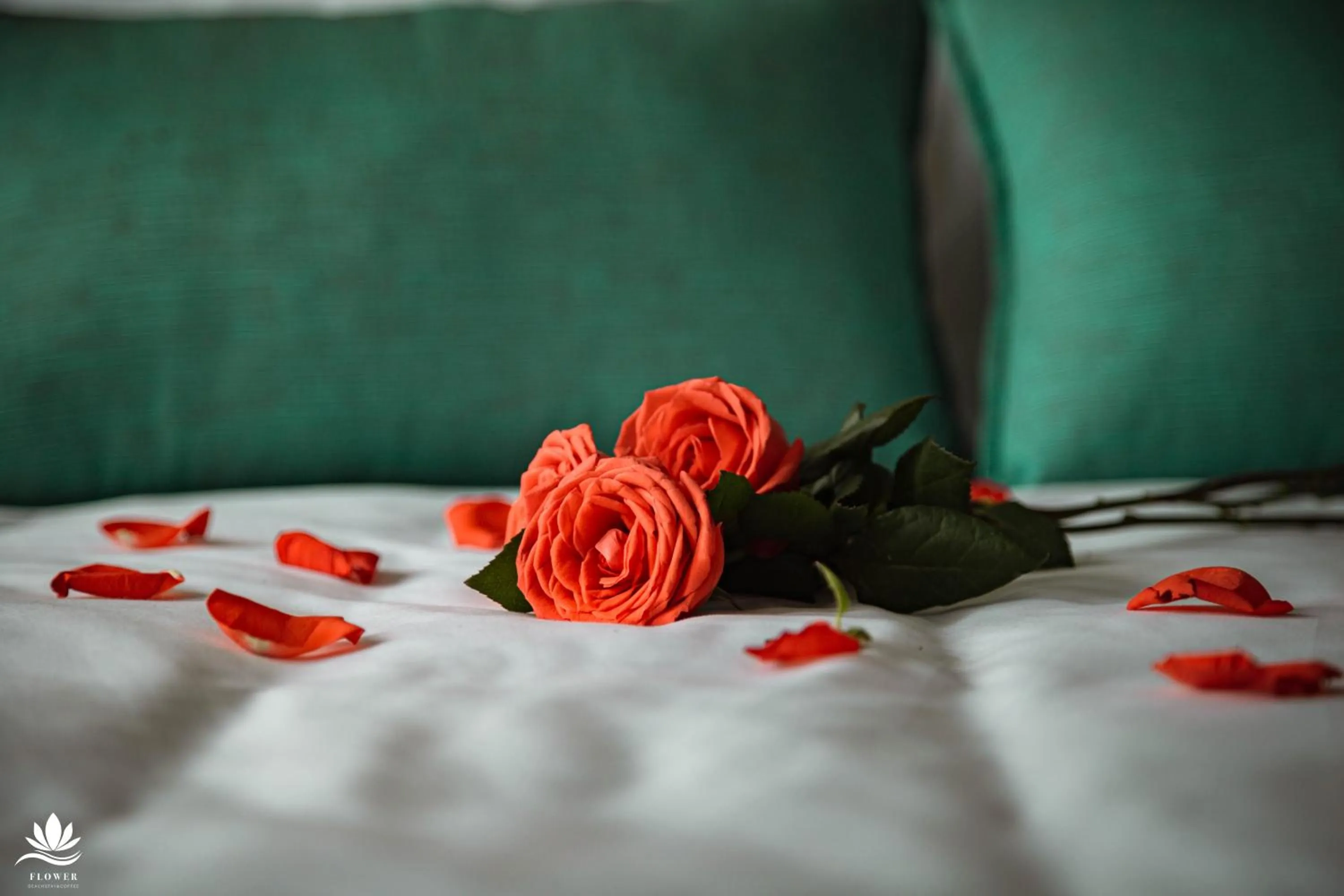 Bed in FLOWER BEACHSTAY & COFFEE