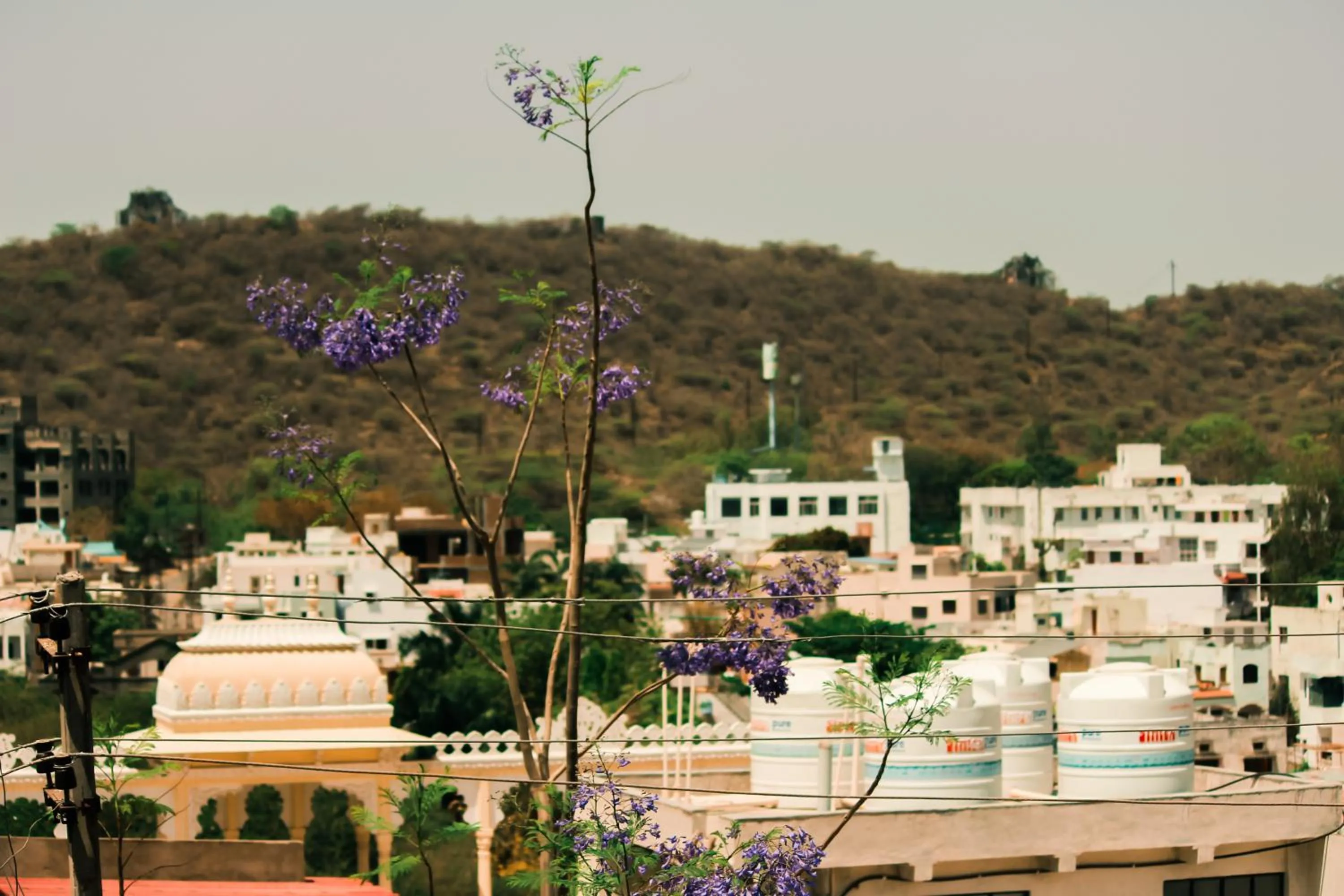City view in Tripli Udaipur