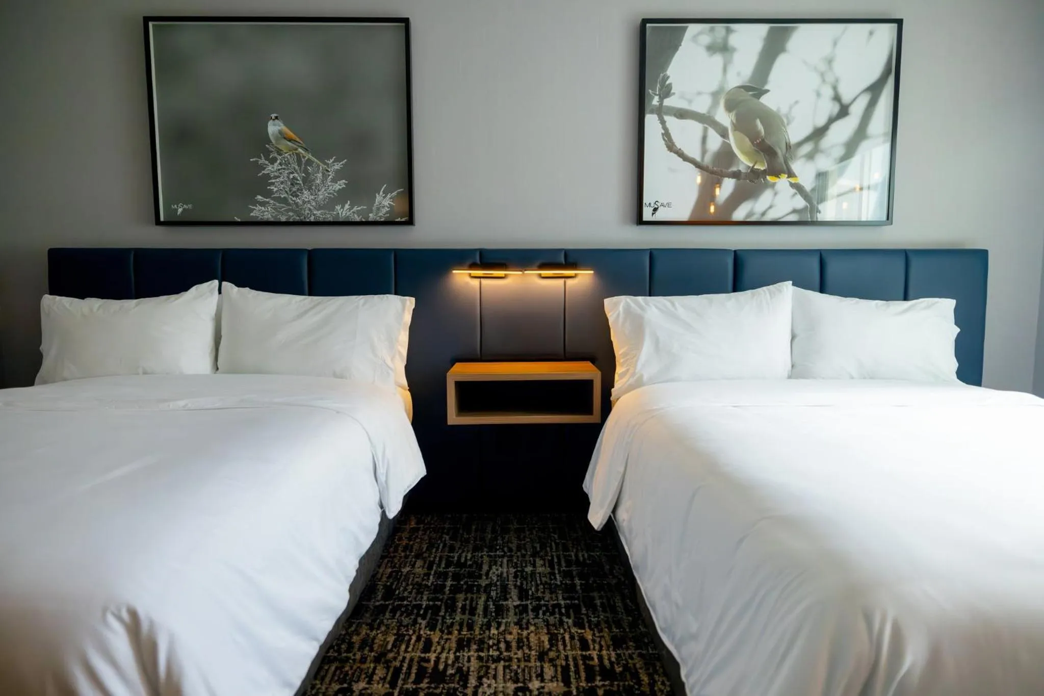 Photo of the whole room, Bed in voco Saltillo Suites by IHG