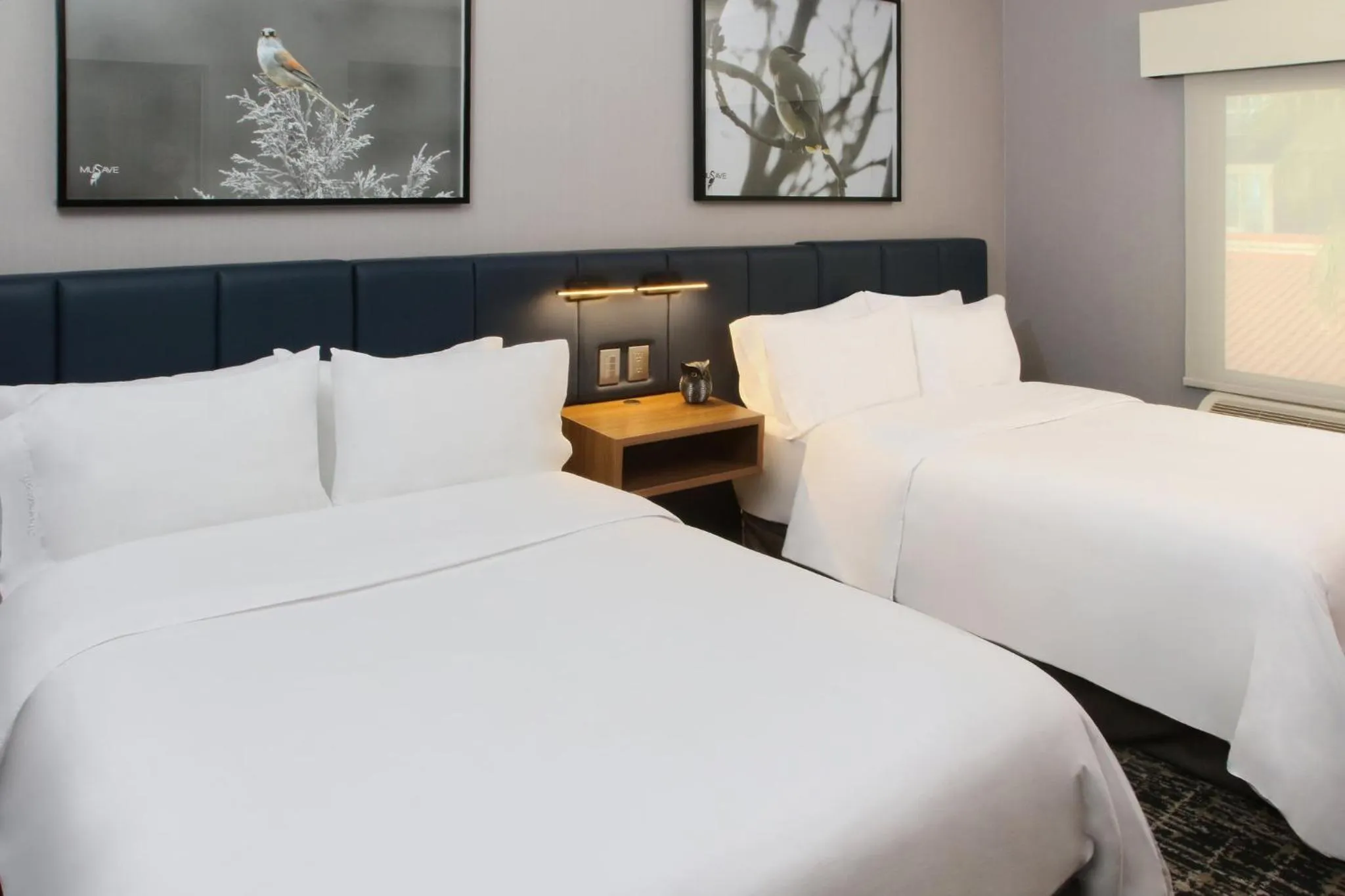 Photo of the whole room, Bed in voco Saltillo Suites by IHG