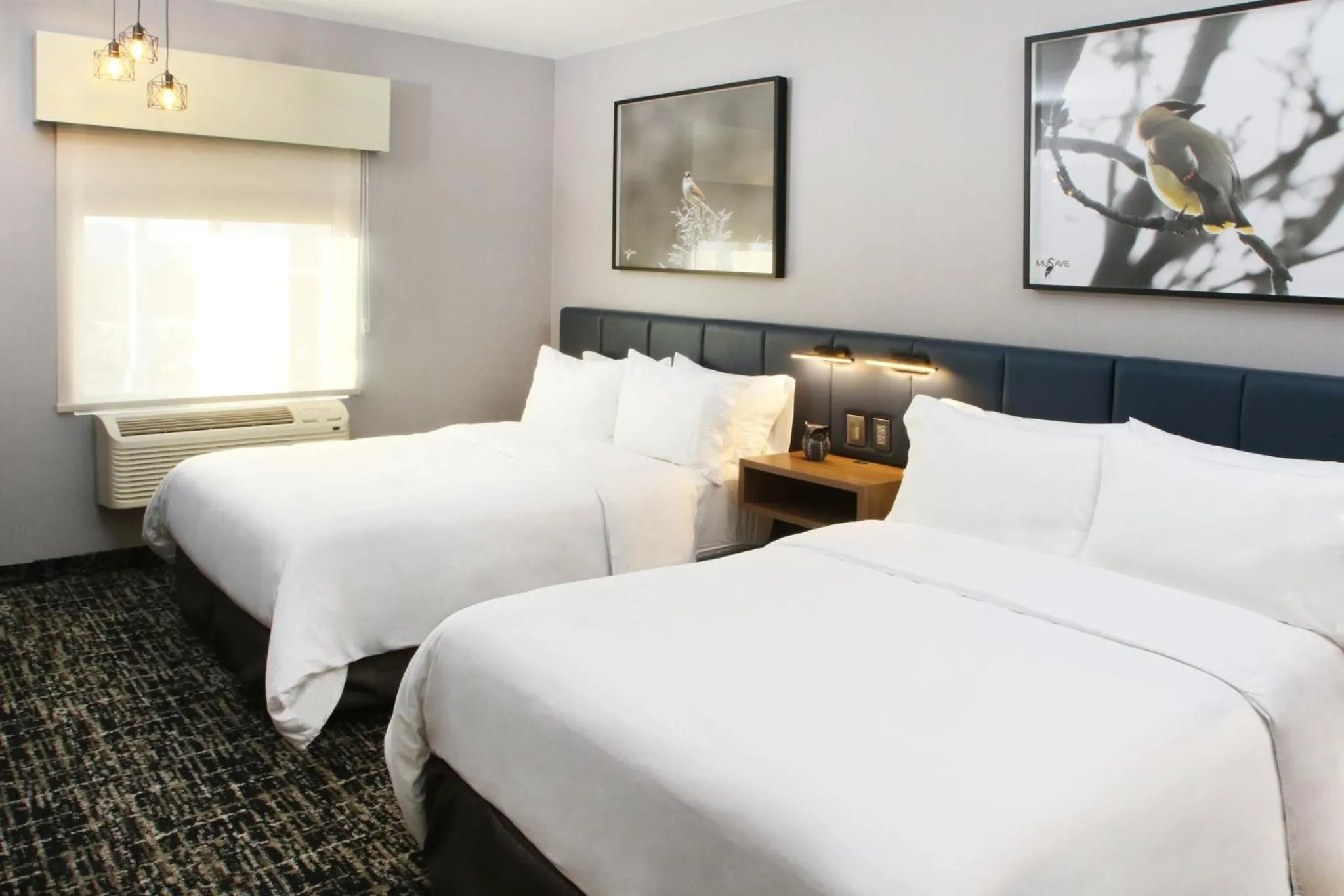 Photo of the whole room, Bed in voco Saltillo Suites by IHG