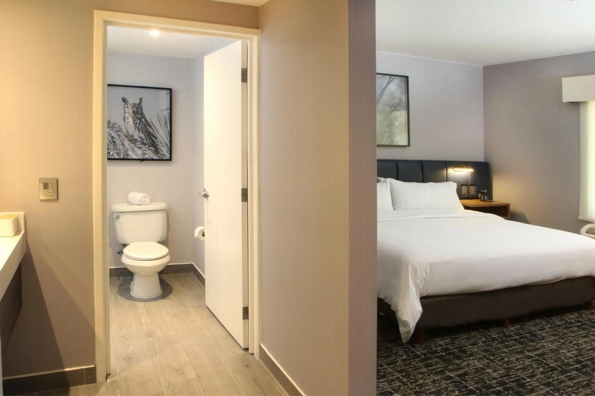 Photo of the whole room, Bed in voco Saltillo Suites by IHG