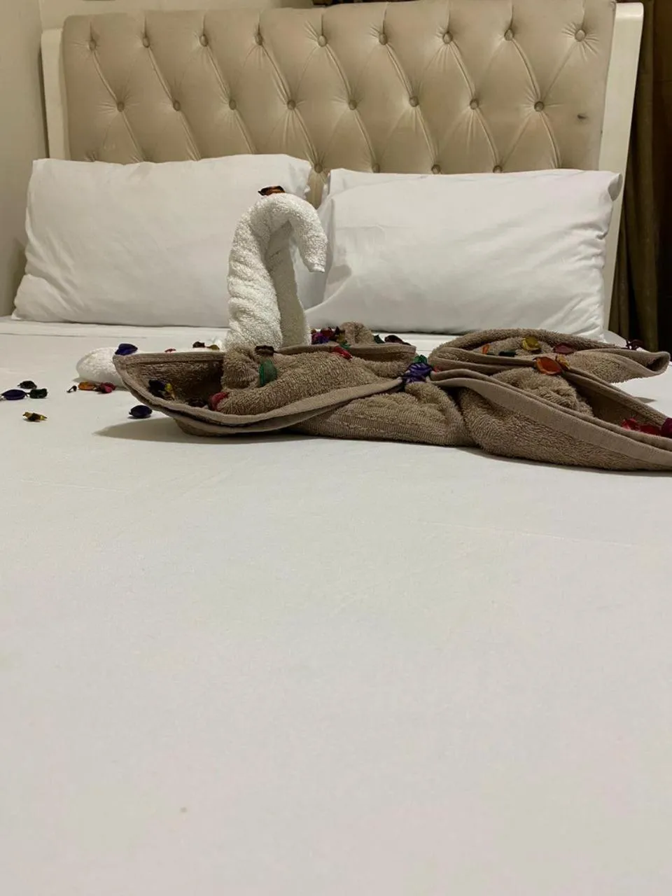 Bed in New Abdeen palace hostel