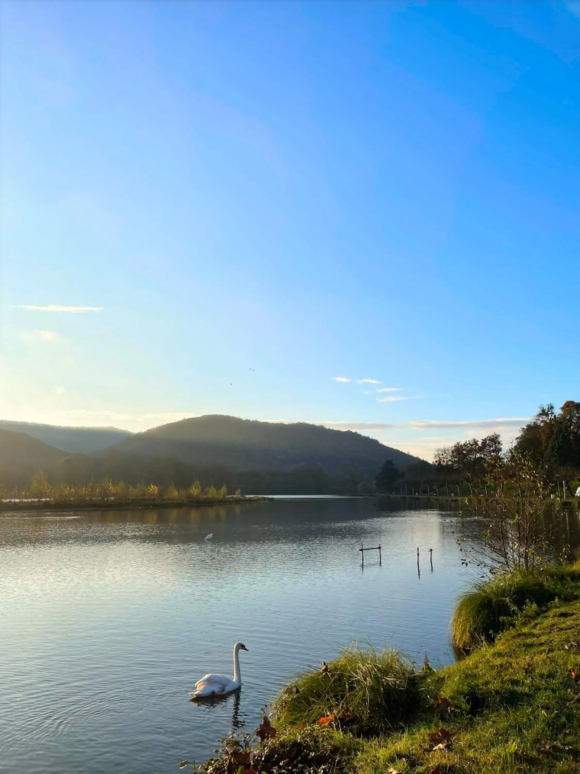 Natural landscape in Hôtel Restaurant du Lac