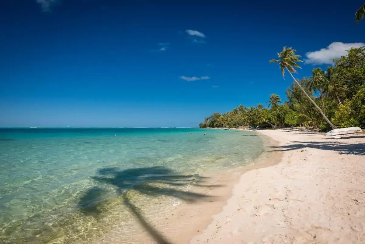 FARE ARIITEA FARE ARIITEA