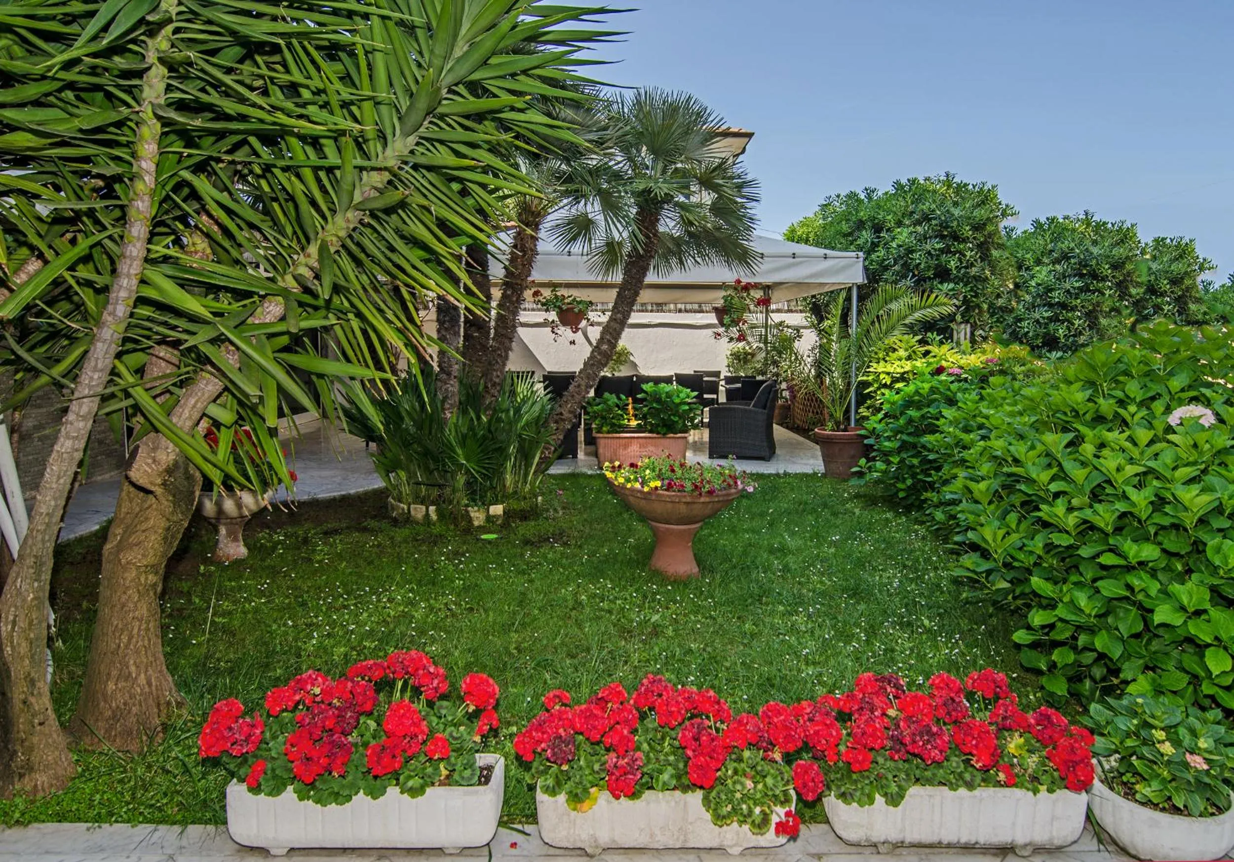 Garden in Hotel Scandinavia