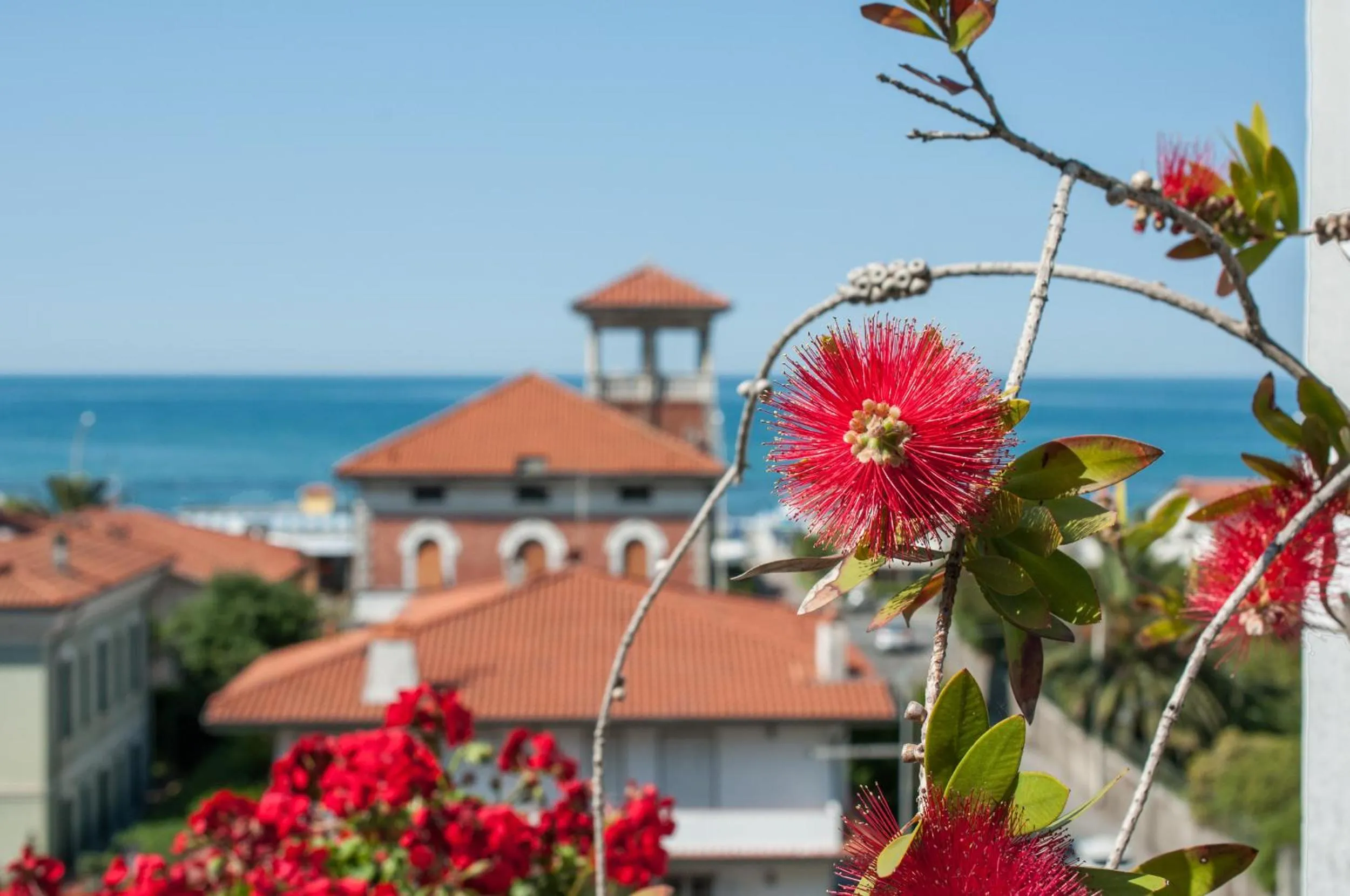 Decorative detail in Hotel Scandinavia