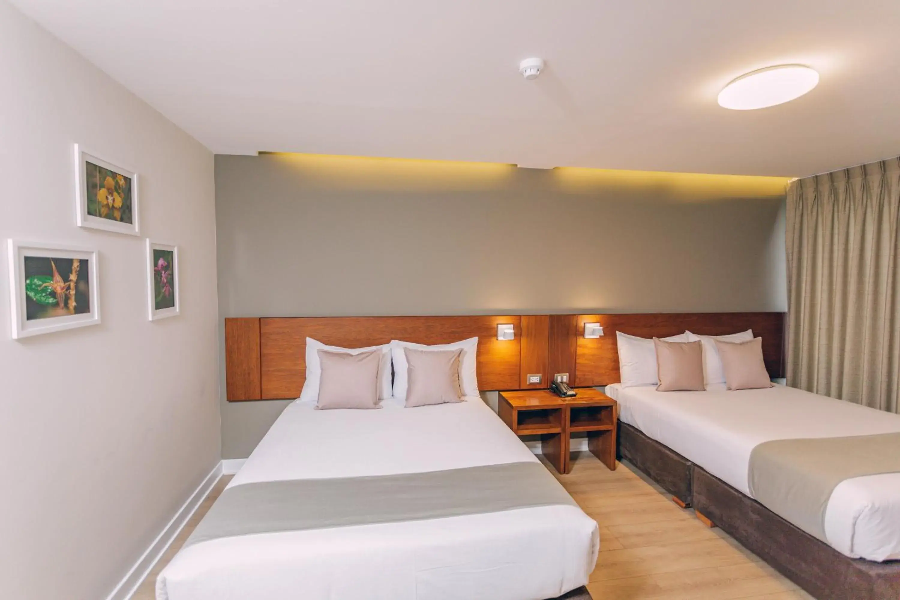 Superior Twin Room in Saska Boutique Hotel Superior Twin Room in Saska Boutique Hotel