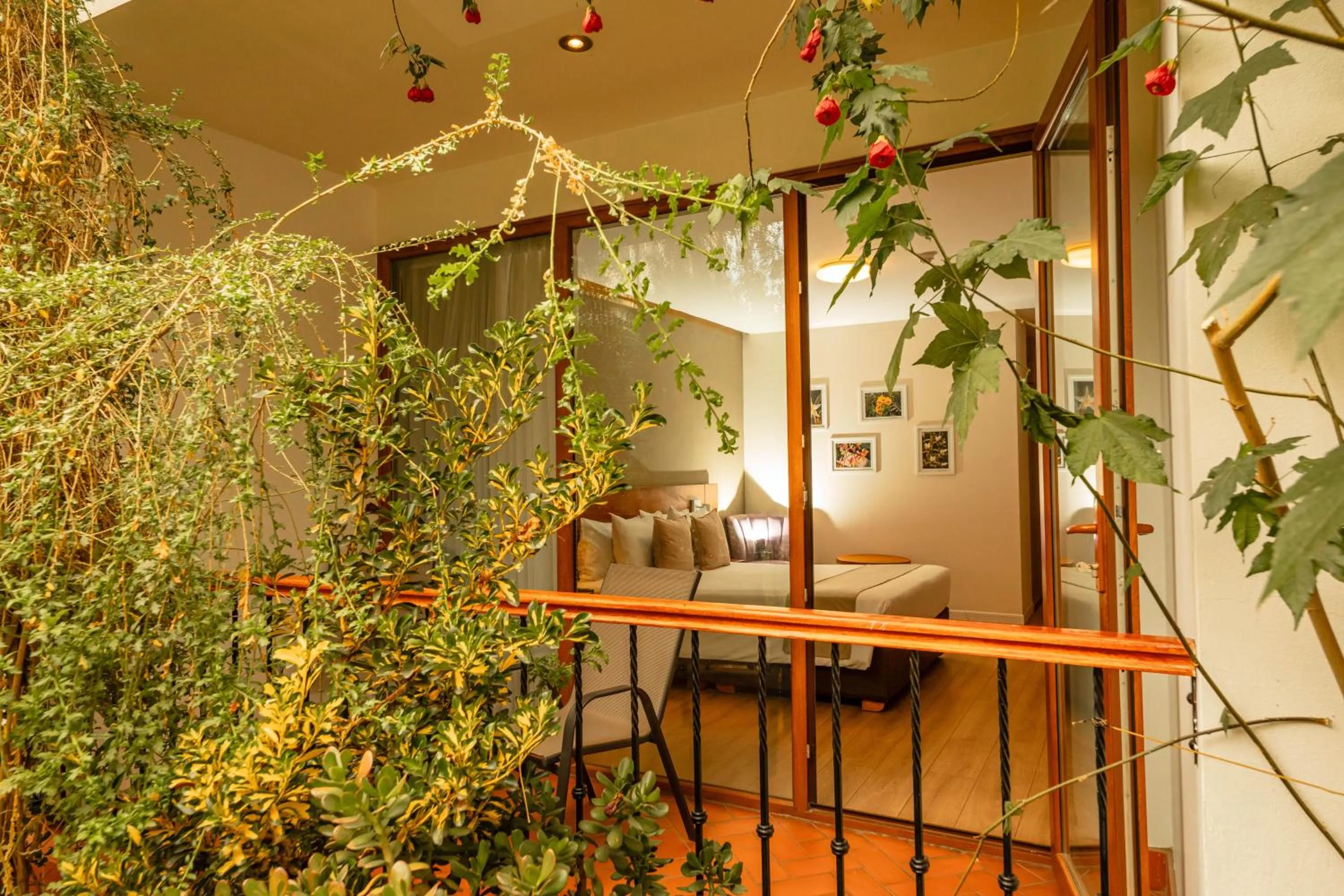 Patio in Saska Boutique Hotel