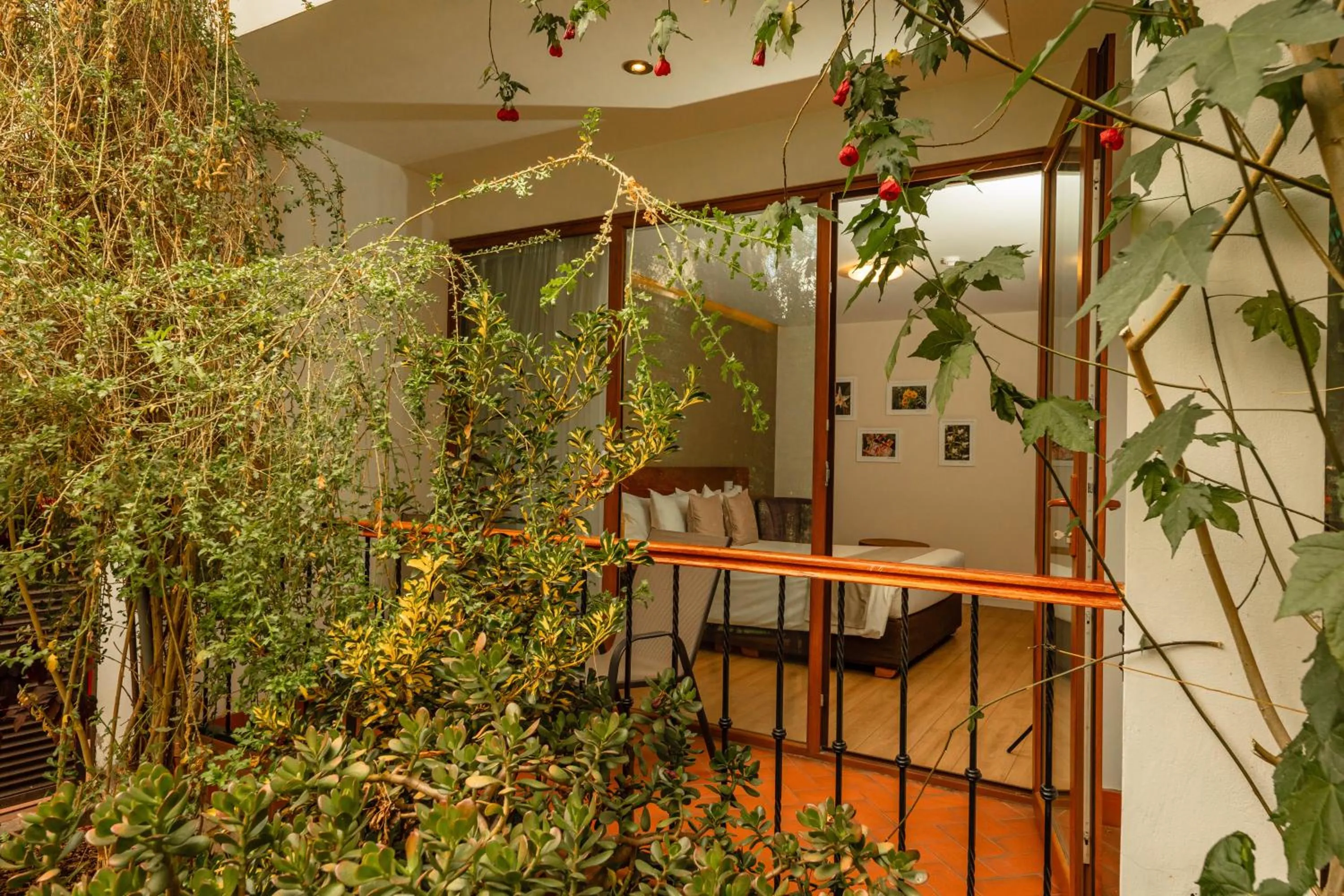 Patio in Saska Boutique Hotel