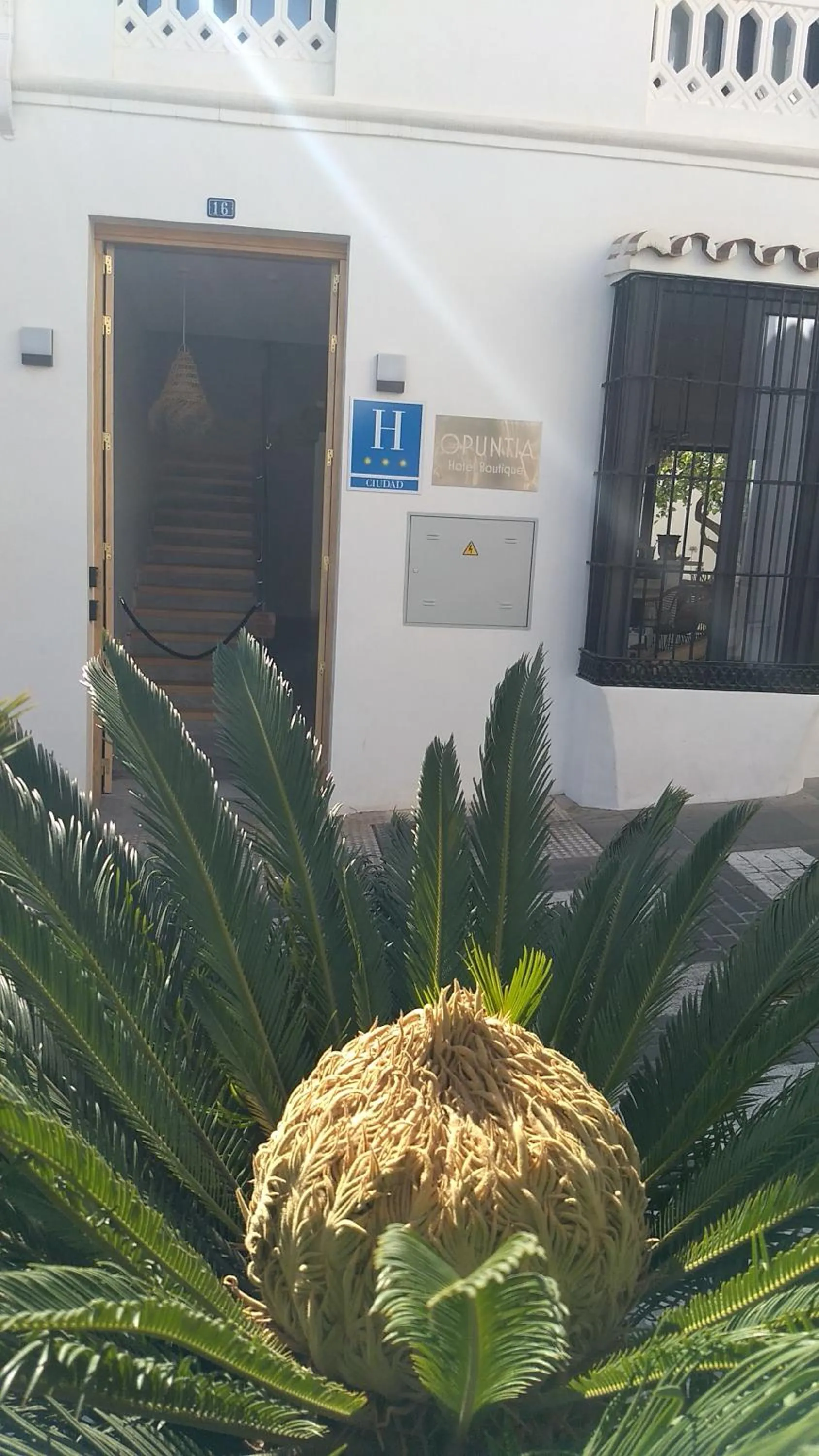 Property building in OPUNTIA Hotel Boutique