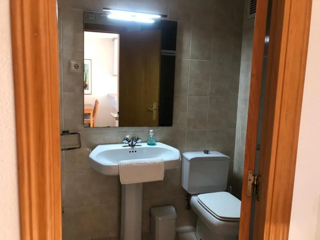 Bathroom in Acogedor apartamento frente al mar con piscina
