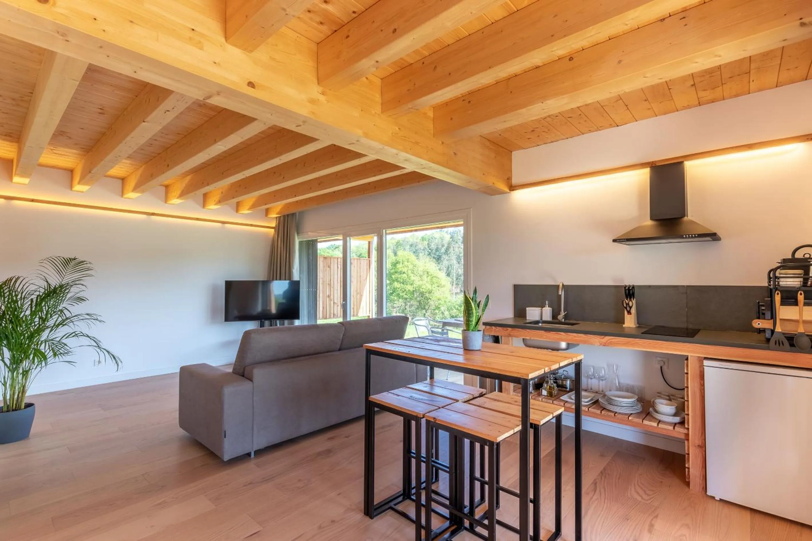 Photo of the whole room in Basoan