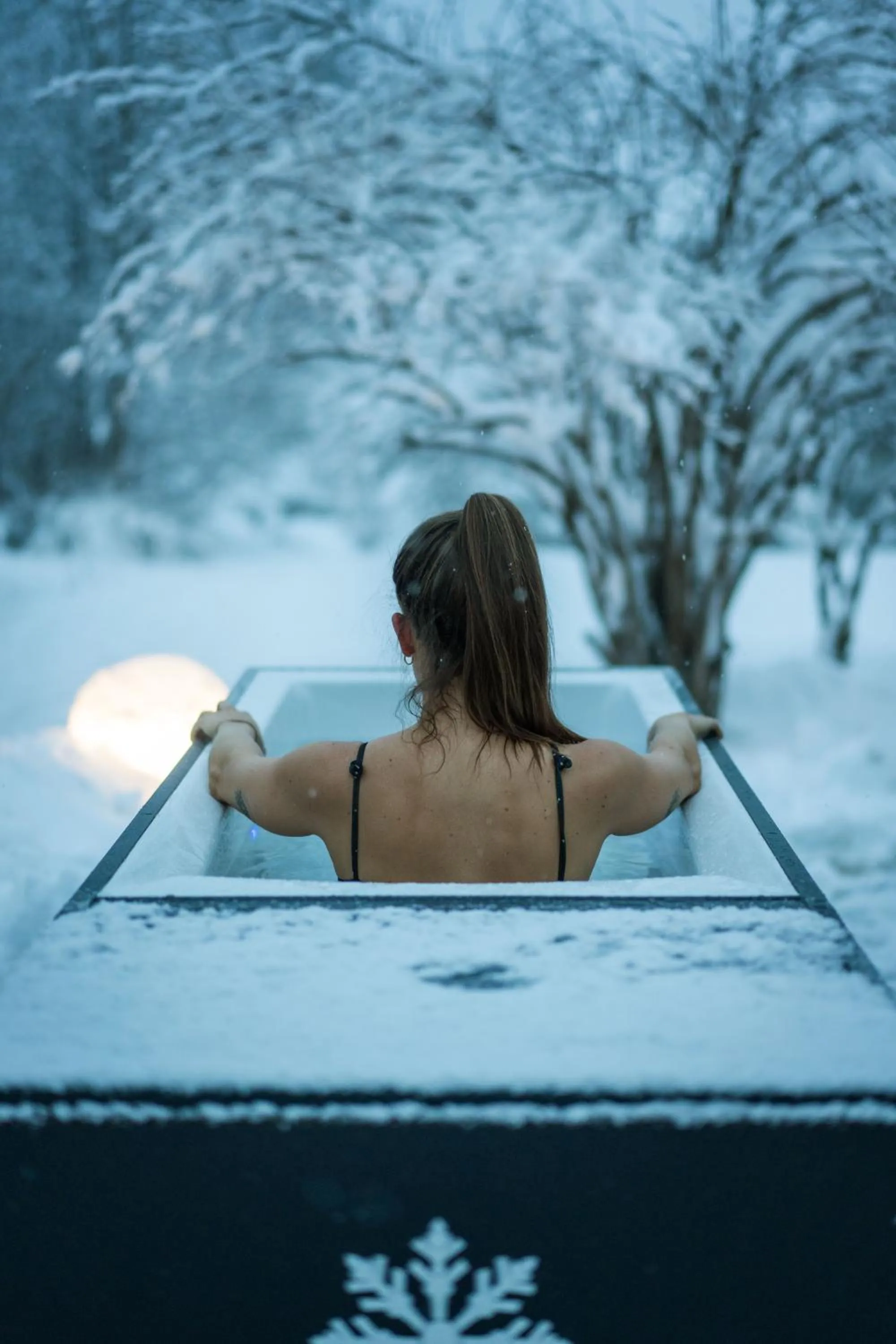 Spa and wellness centre/facilities in Flem Mountain Lodge