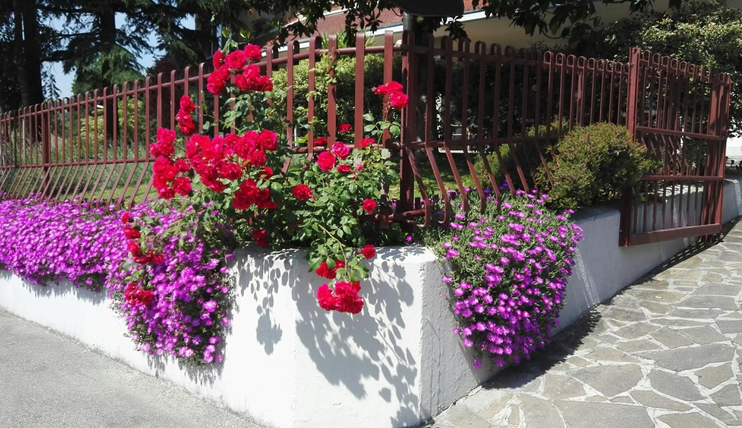 Garden in Hotel Astoria