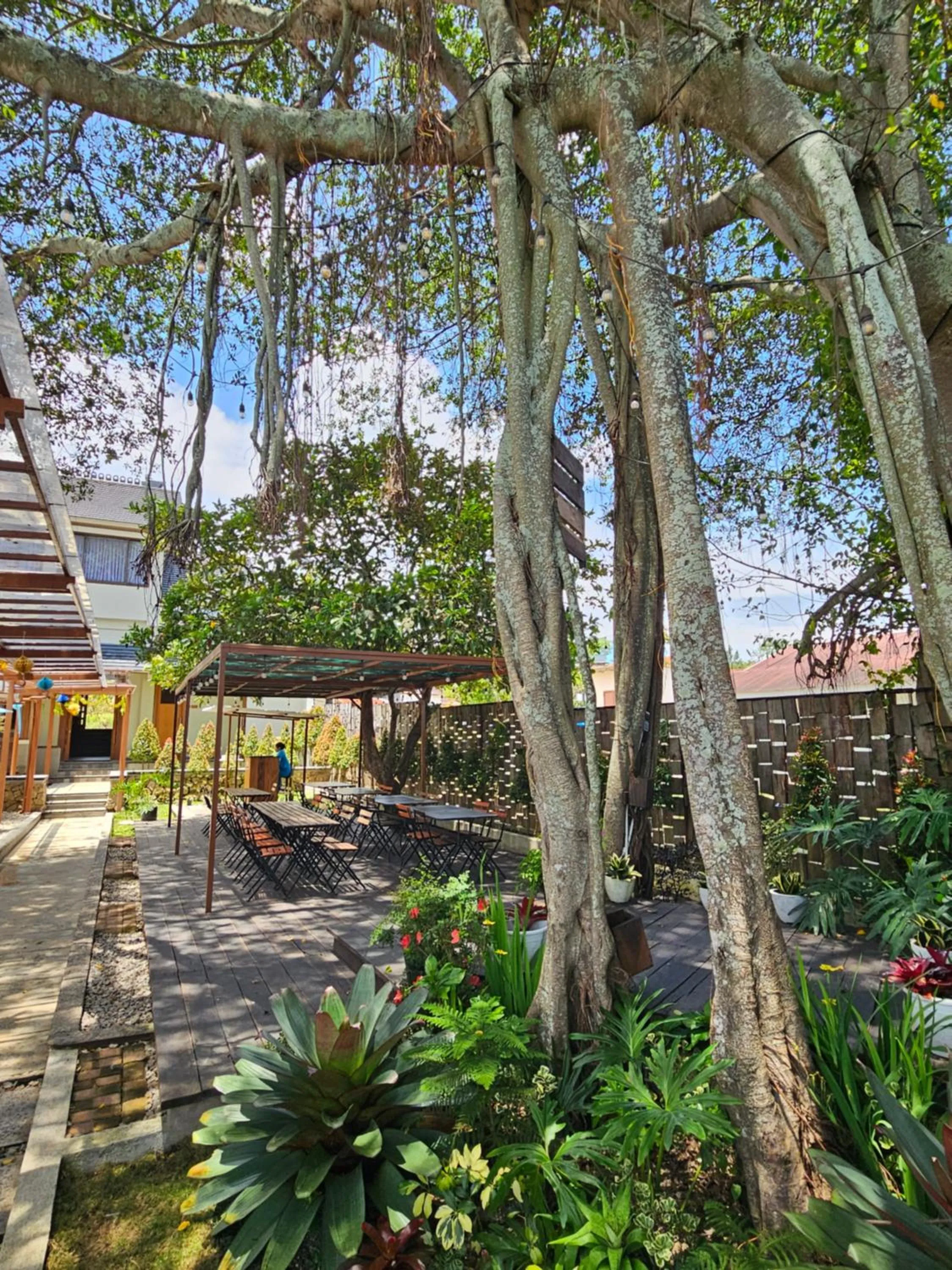 Restaurant/places to eat in Damar Toba