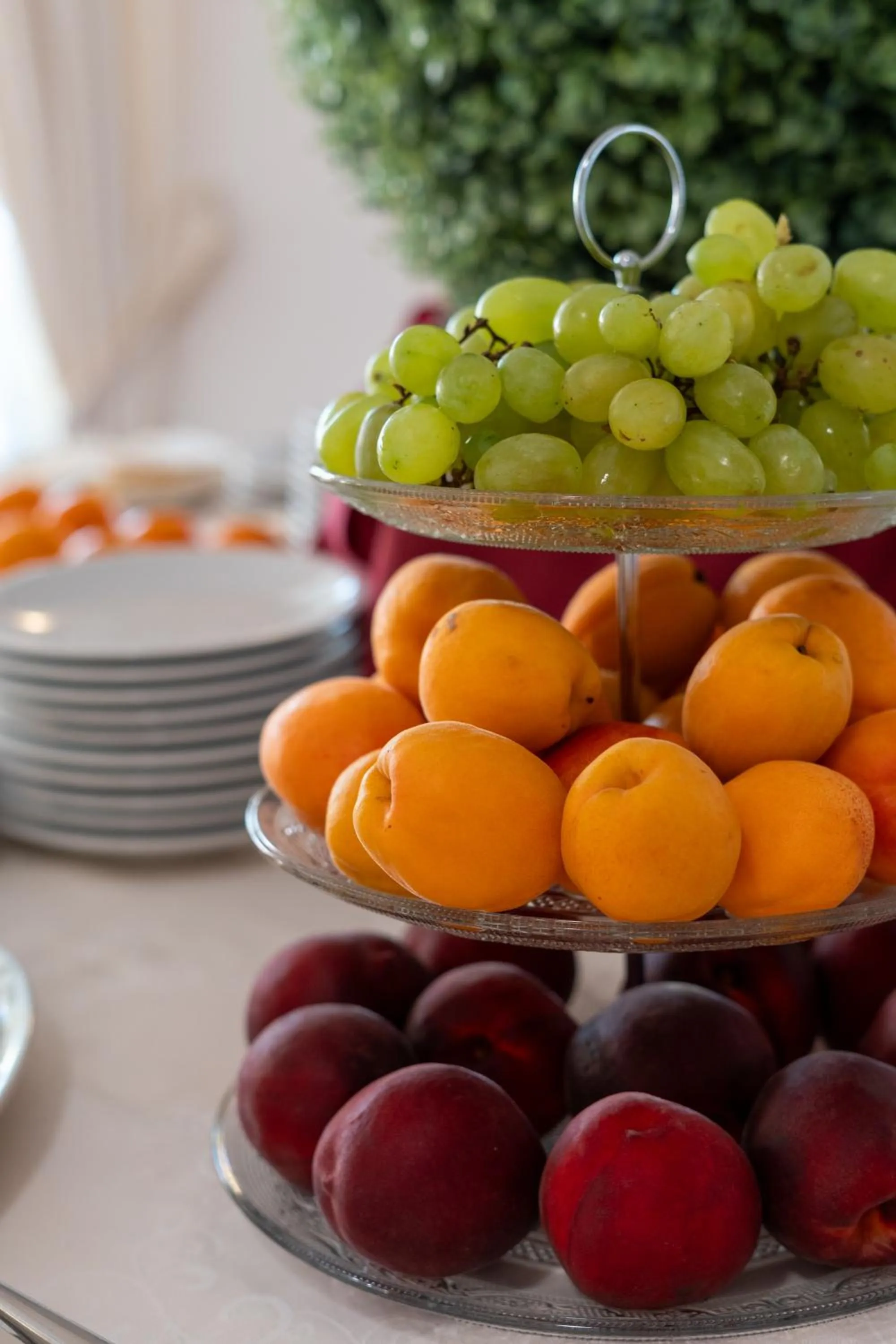 Buffet breakfast in Hotel Sa Pedra