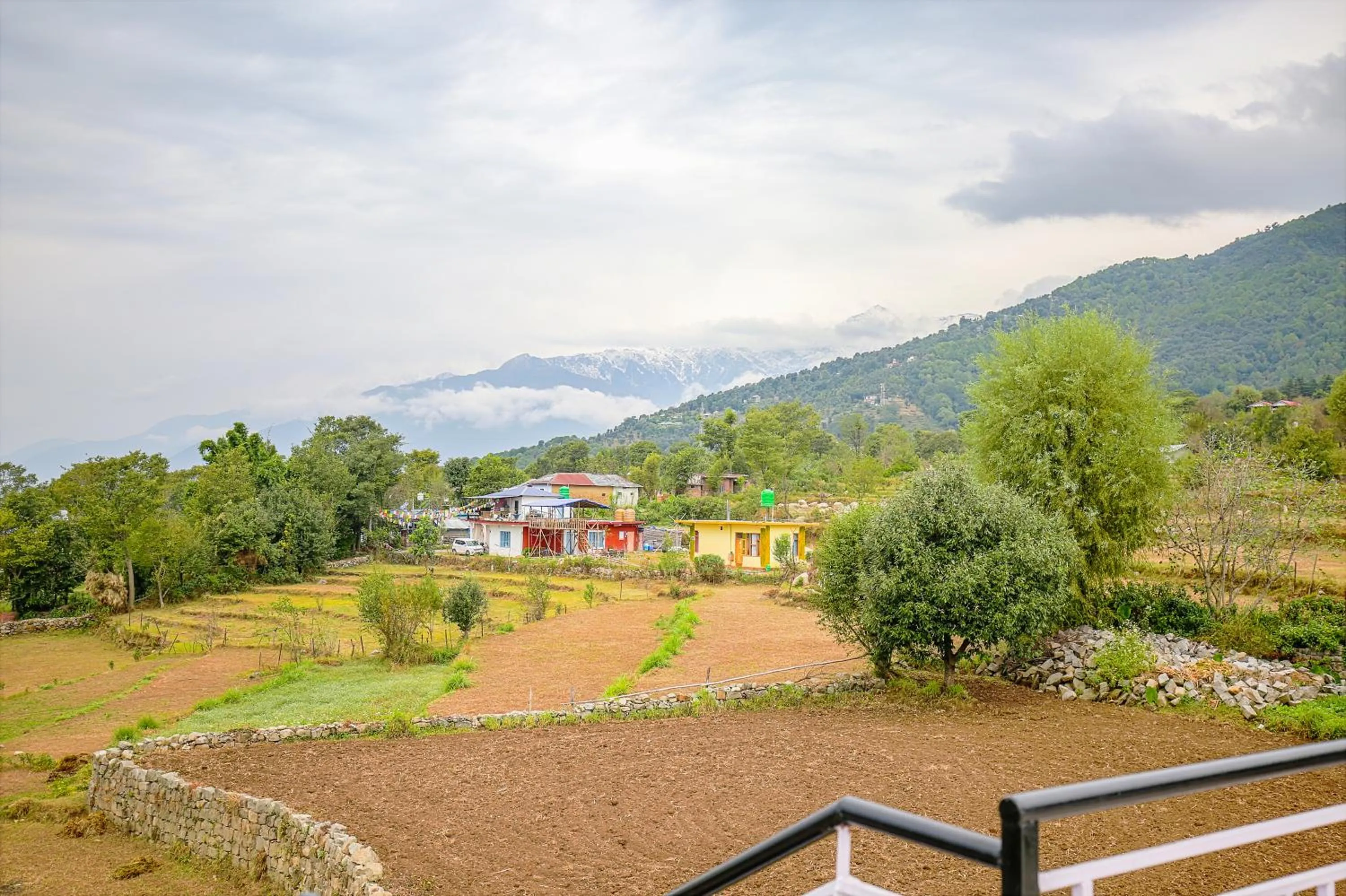 Nearby landmark in The Bunksters Bir