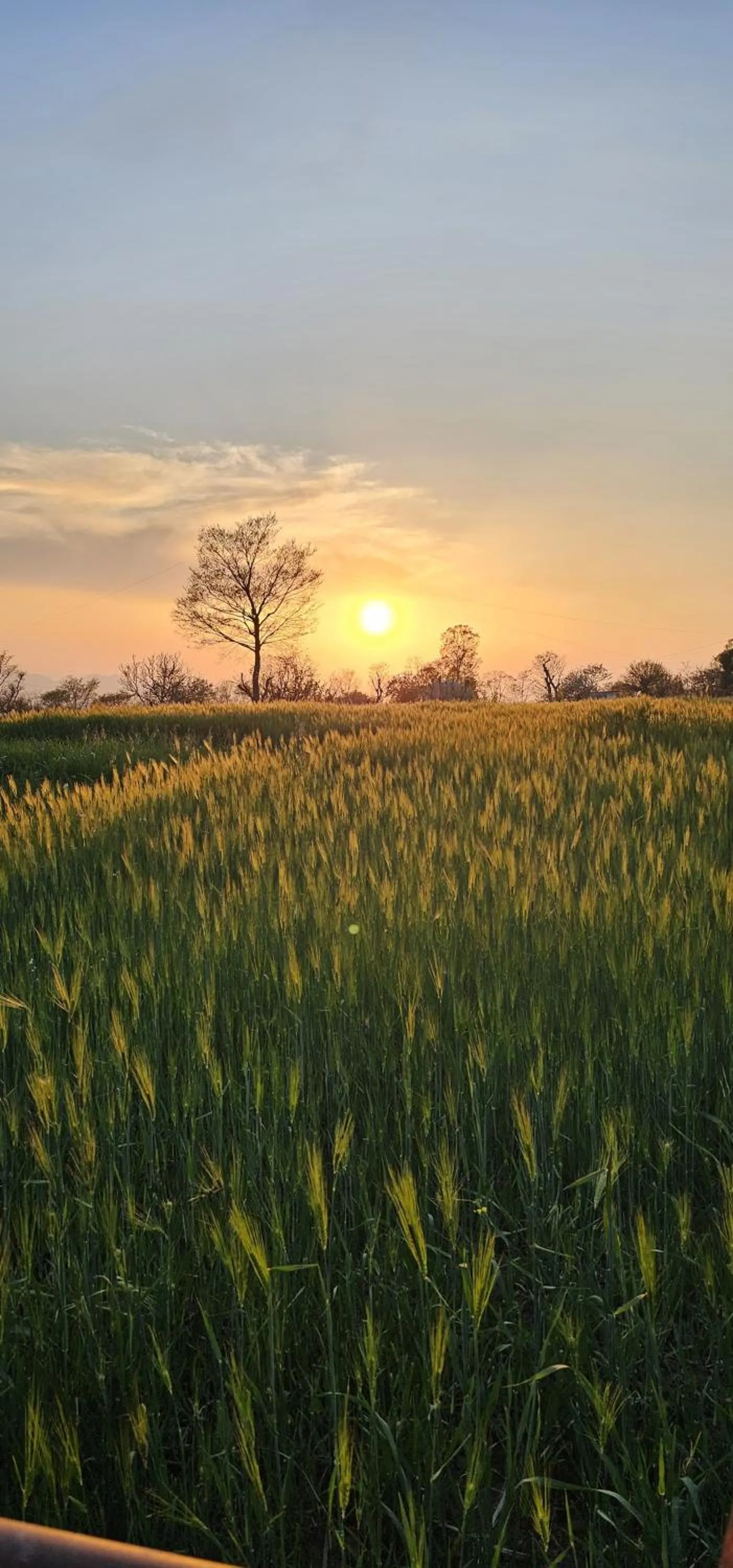 Day in The Bunksters Bir