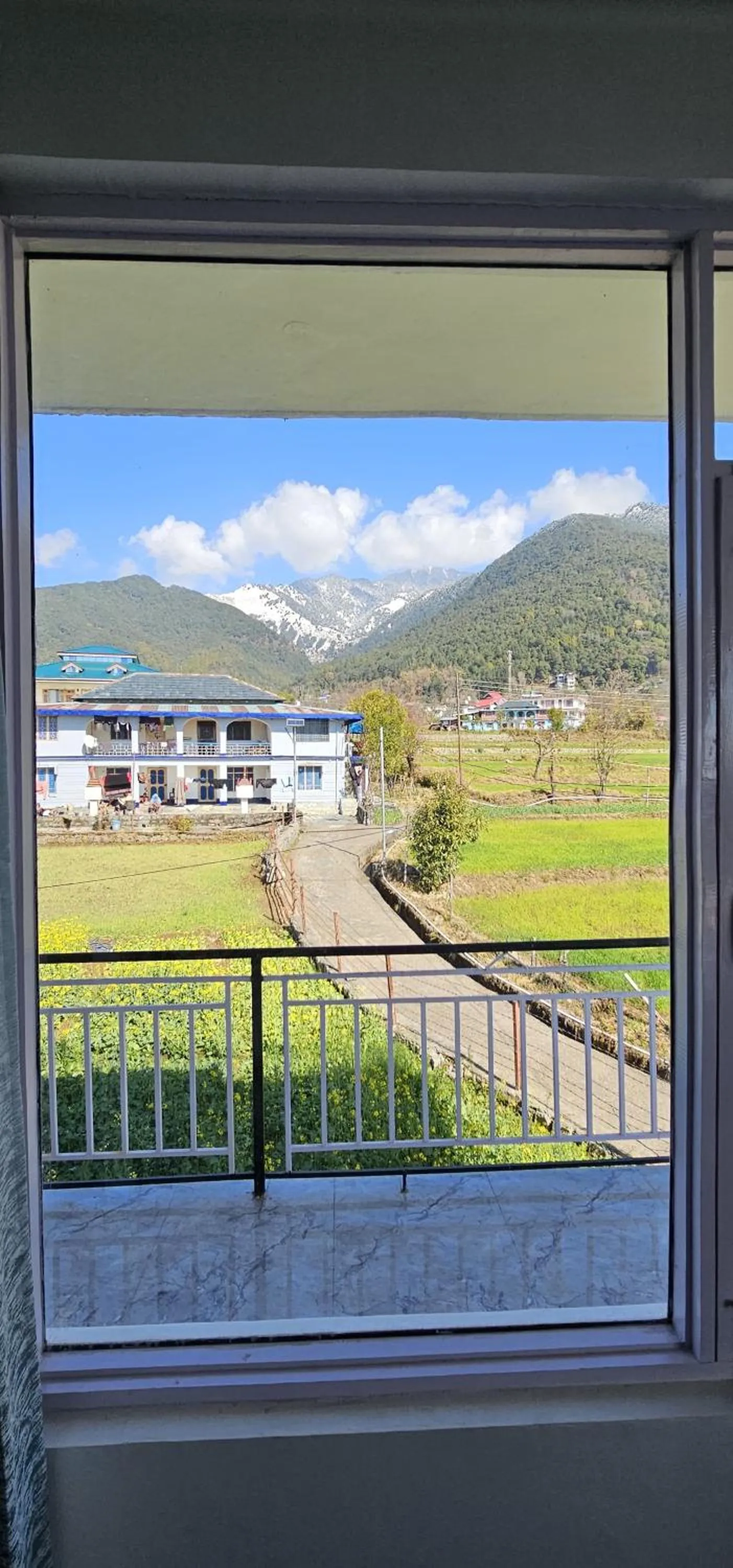 Spring in The Bunksters Bir