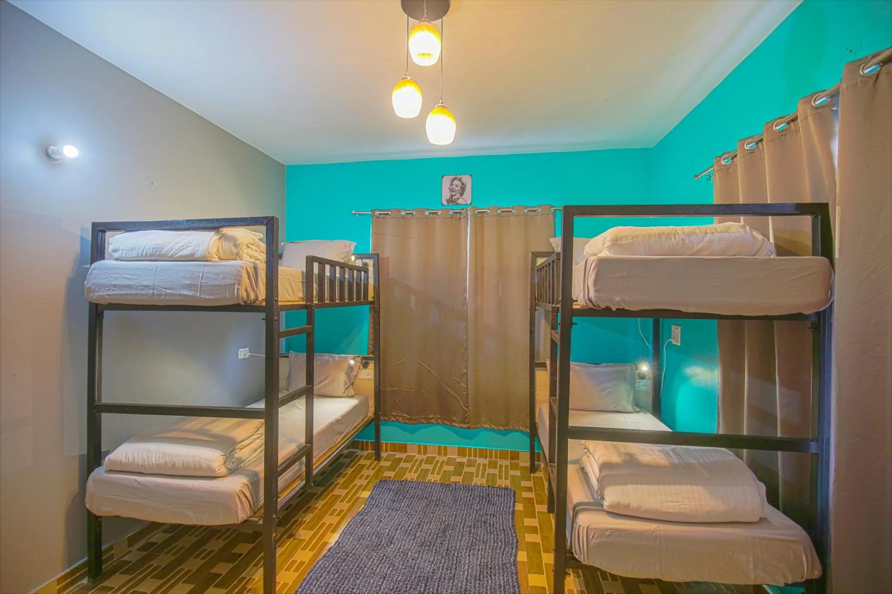 Bed in The Bunksters Bir