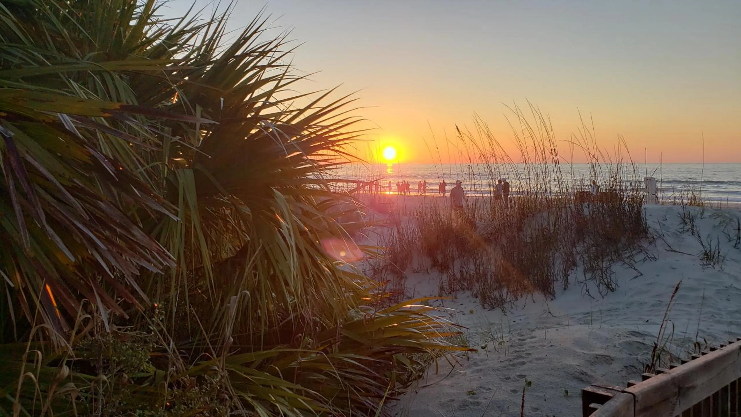 Natural landscape in Gorgeous 2 Bedroom Condo