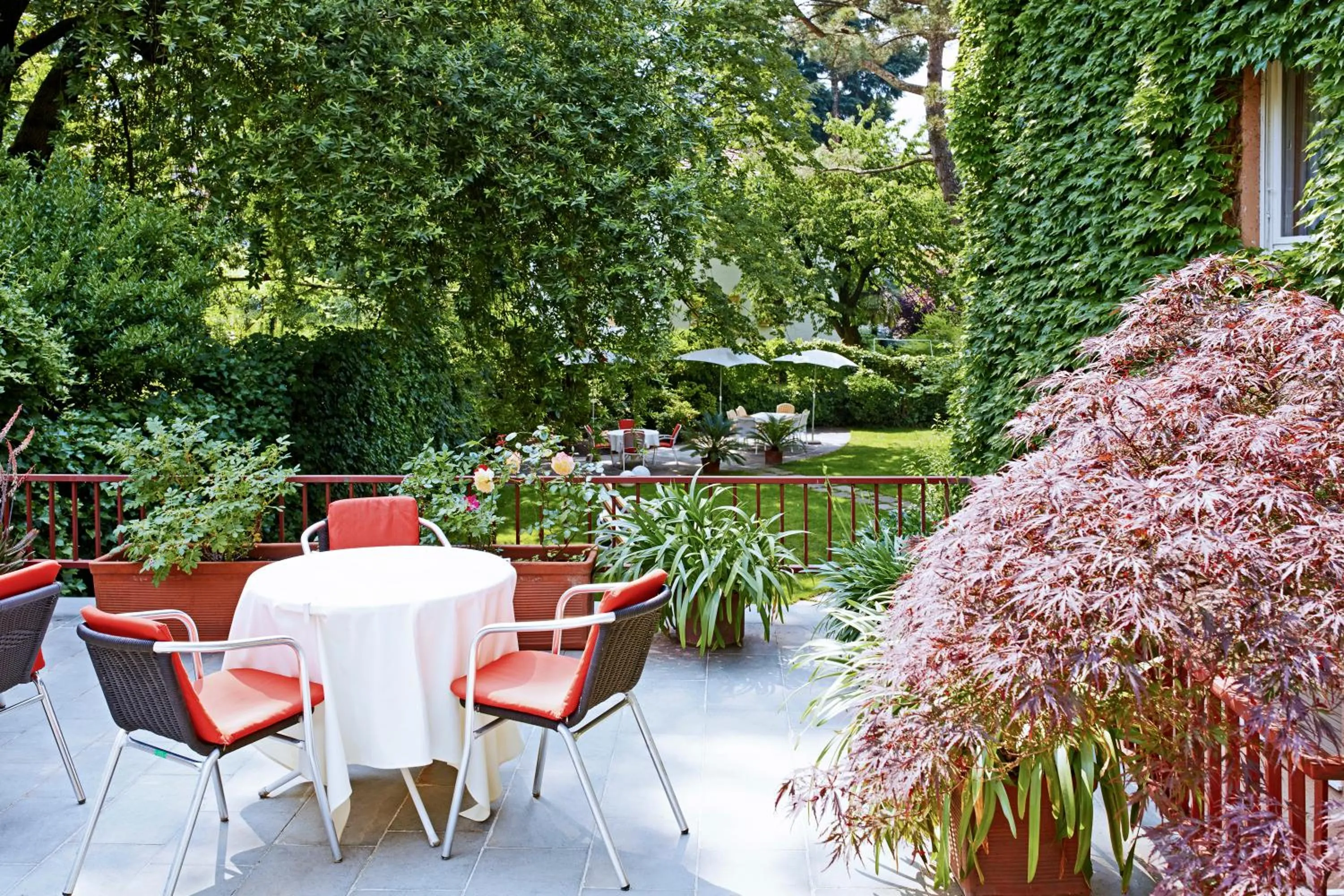 Patio in Hotel Juliane