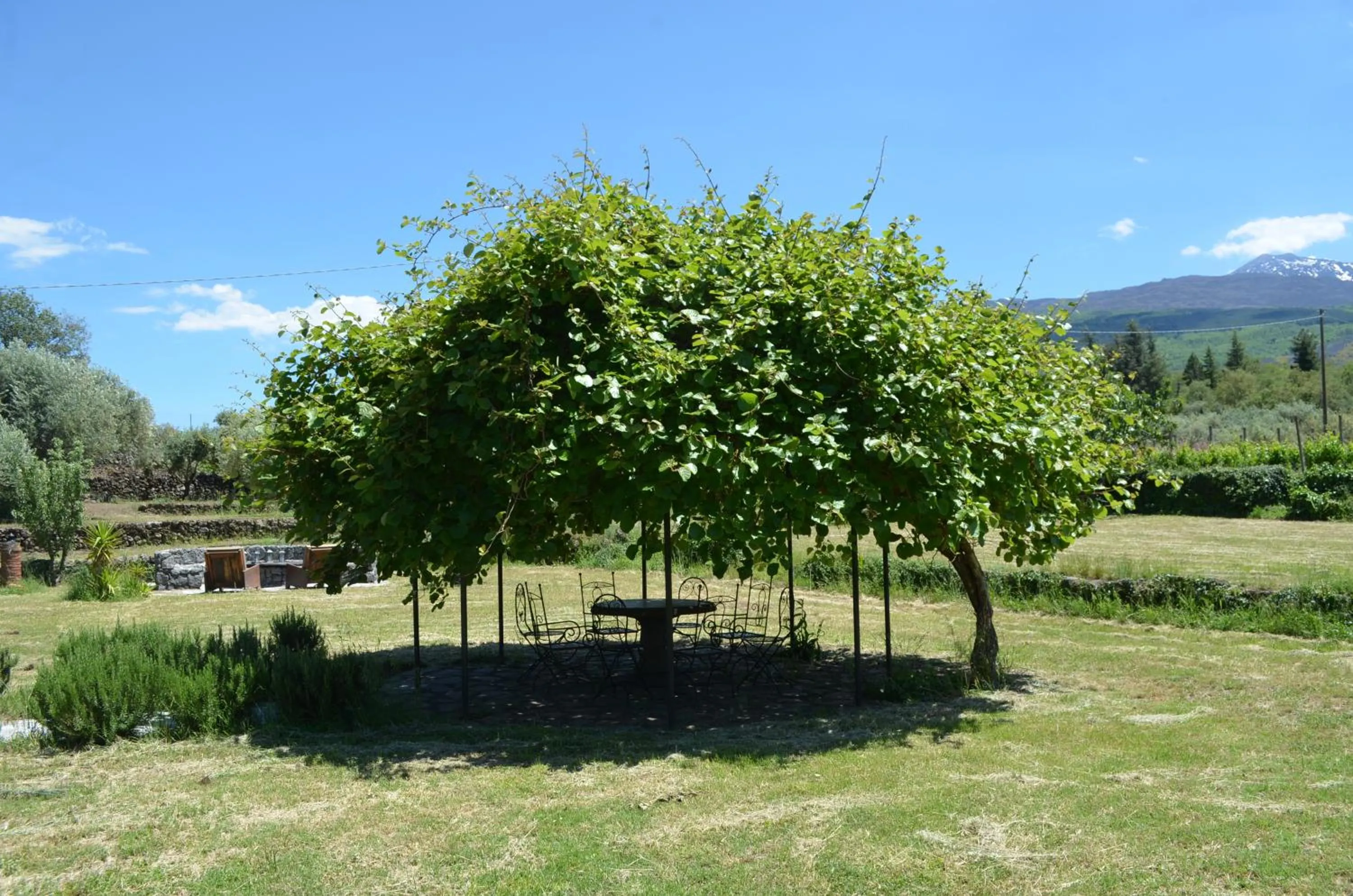 Garden in Villa VEDA