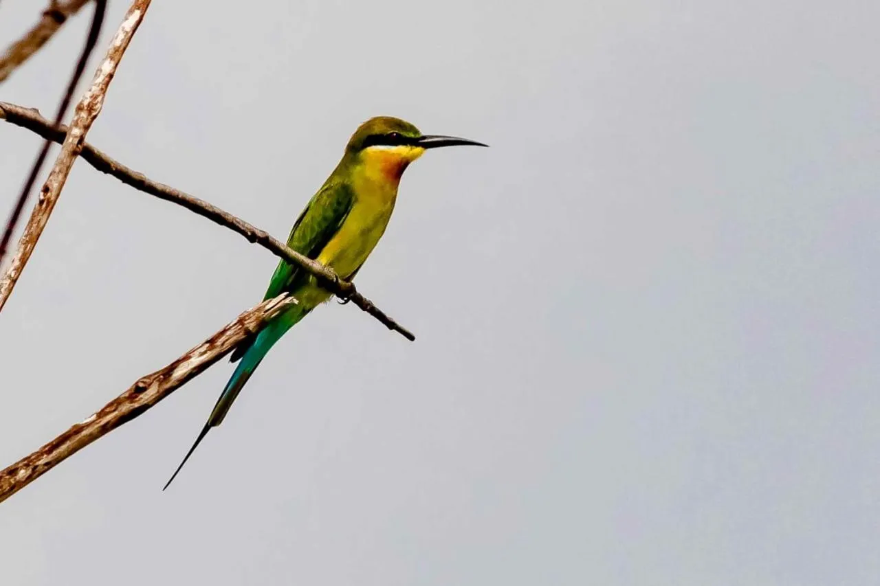 Seasons in The Alampara Resort - Luxury Boutique Glamping & Water sports