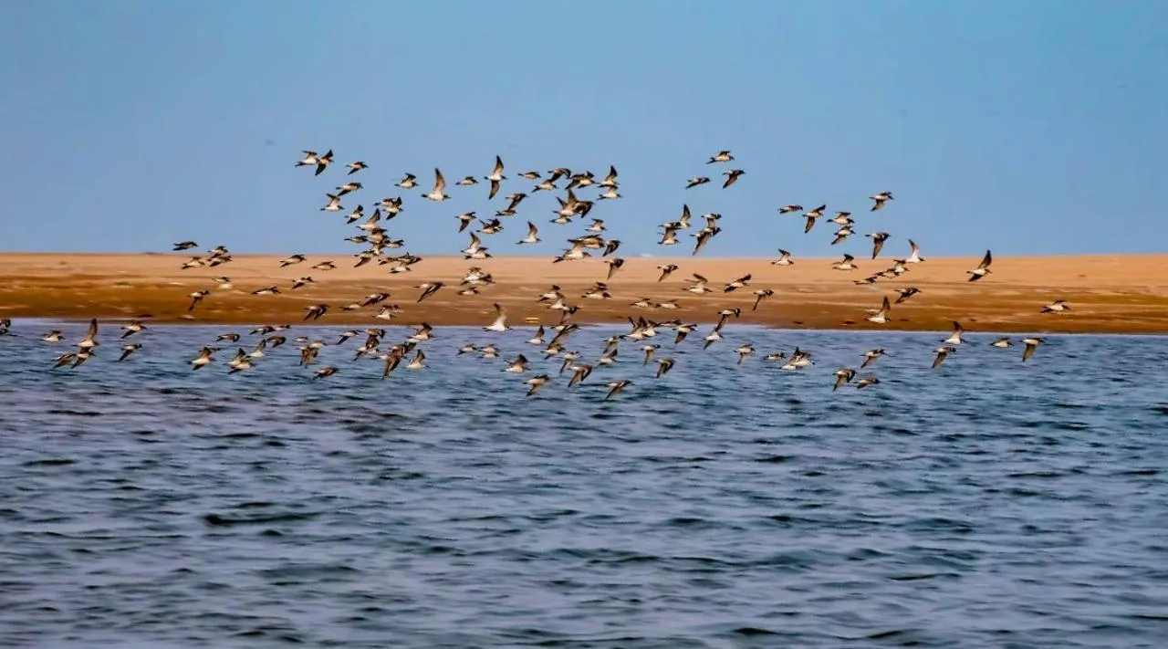 Aqua park in The Alampara Resort - Luxury Boutique Glamping & Water sports