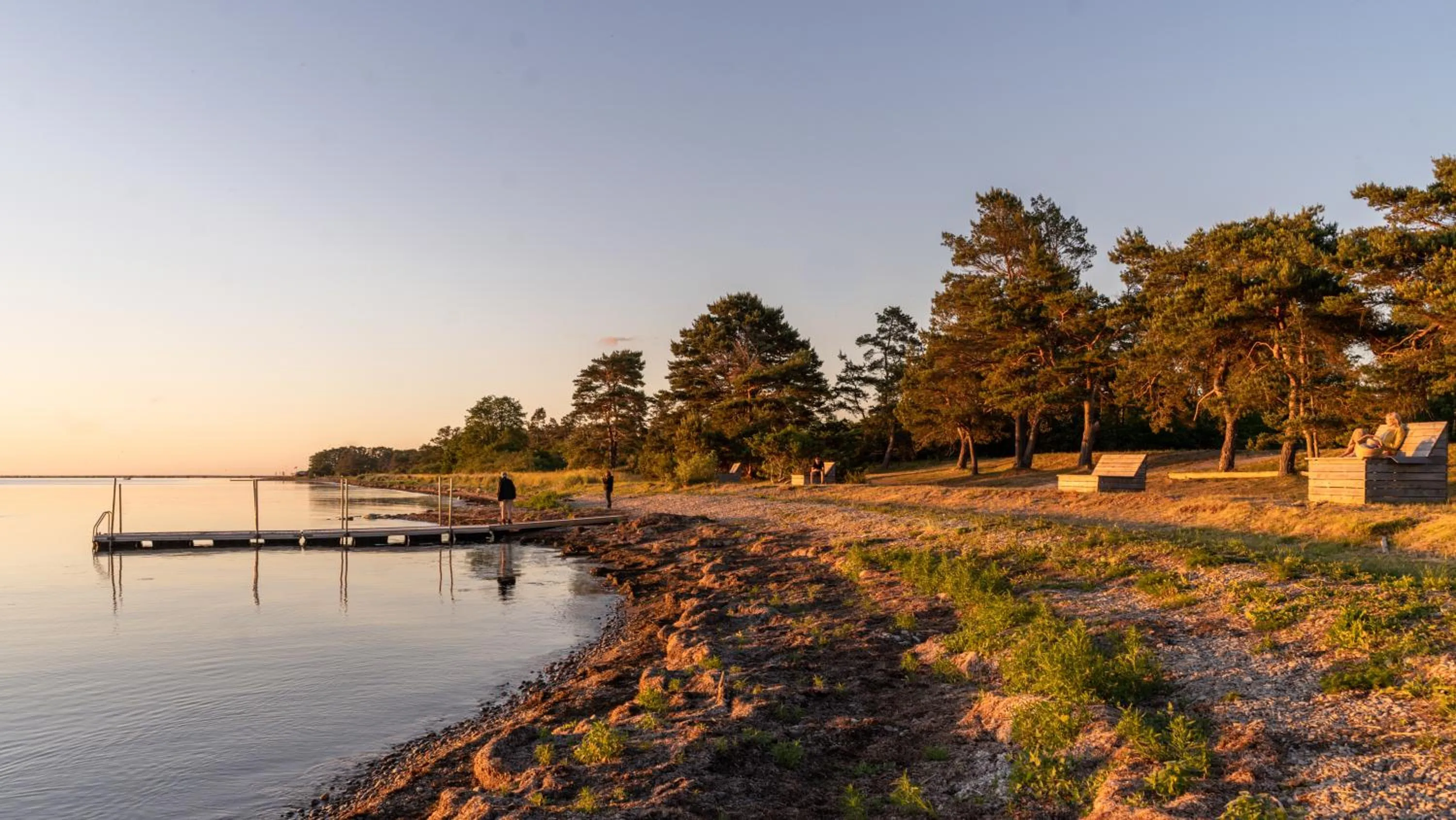 View (from property/room) in Stora Frögården